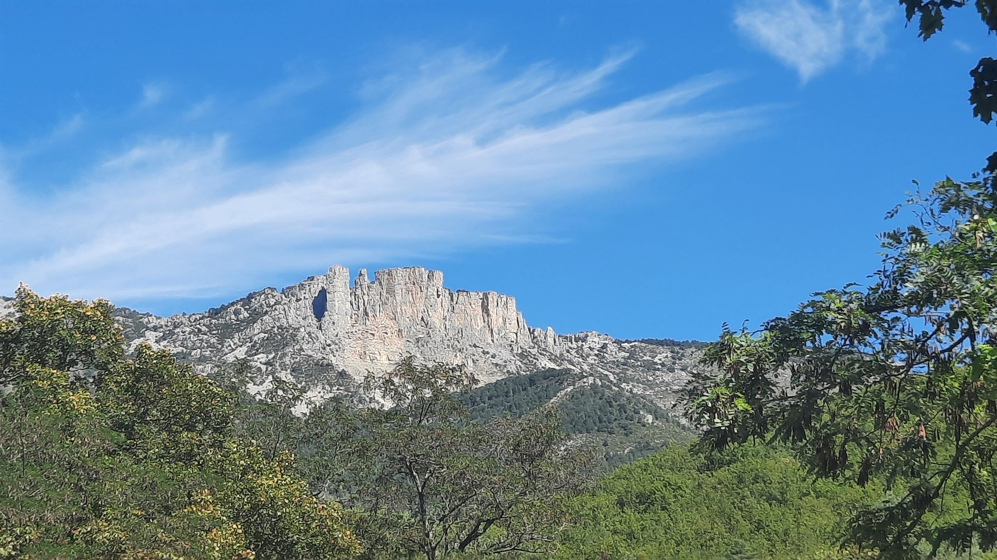 canediéres des brandis