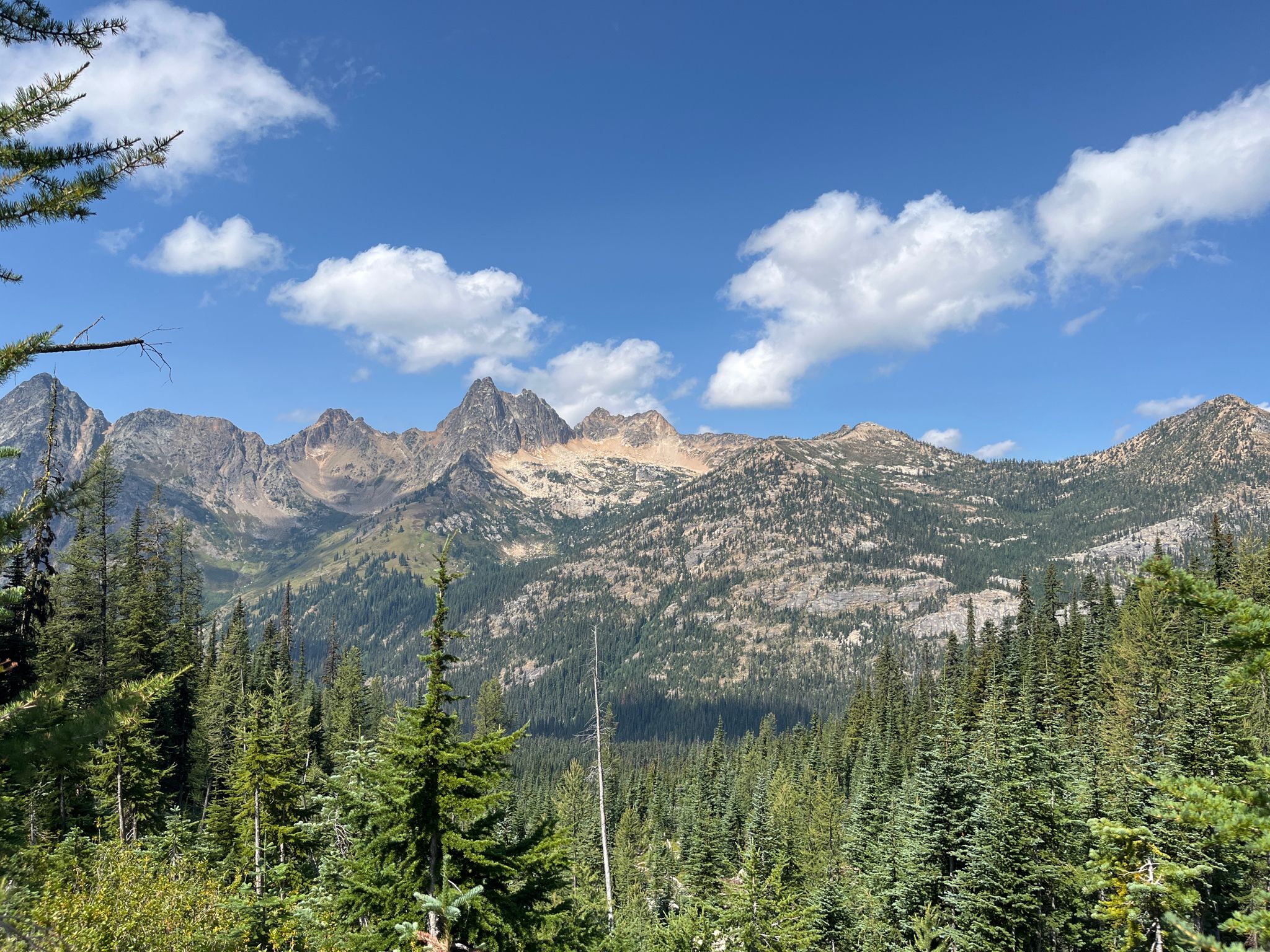 Majestic mountain range with pine forests under a bright, cloudy blue sky. - Blue Lake Trail