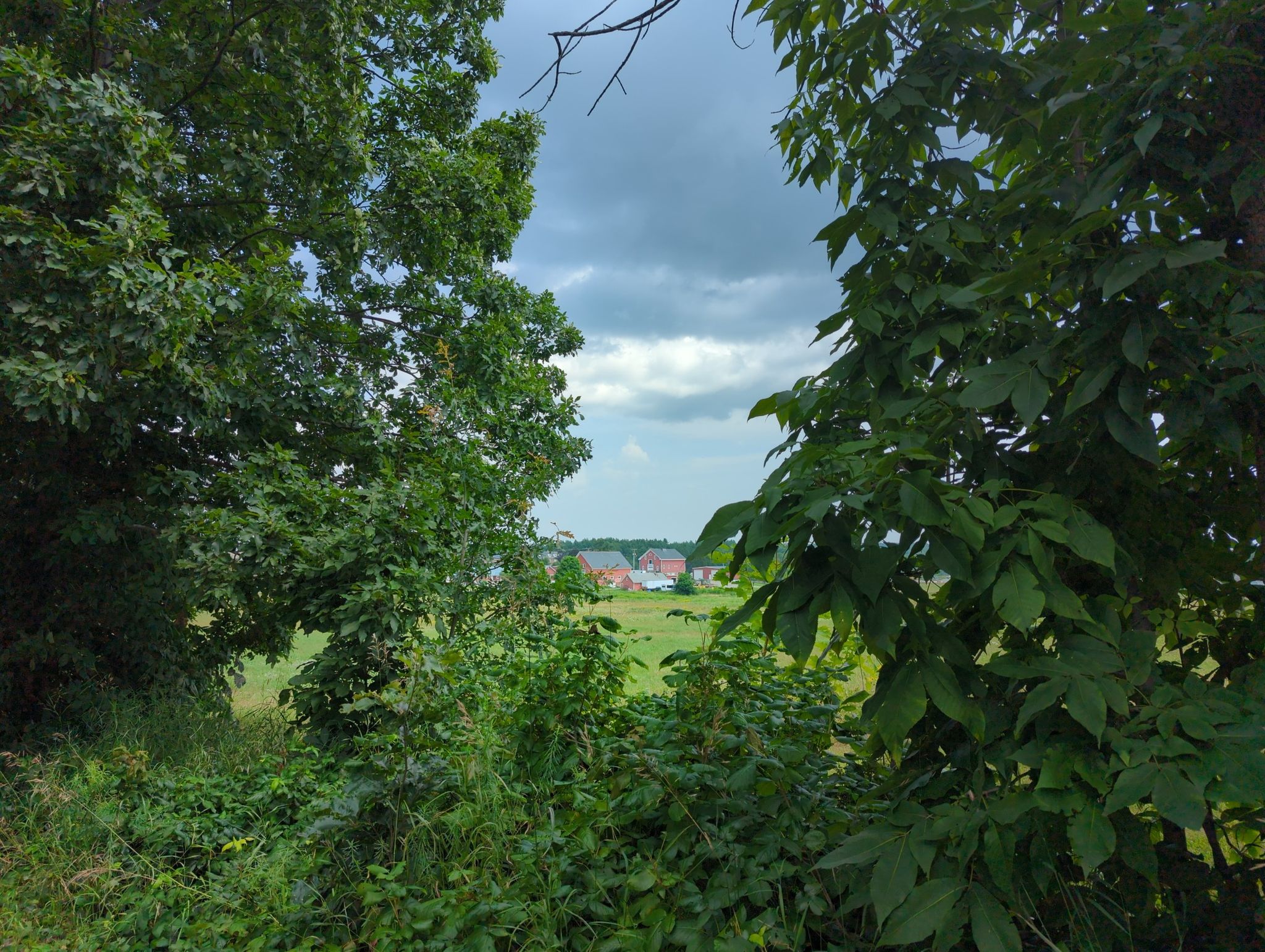 farm