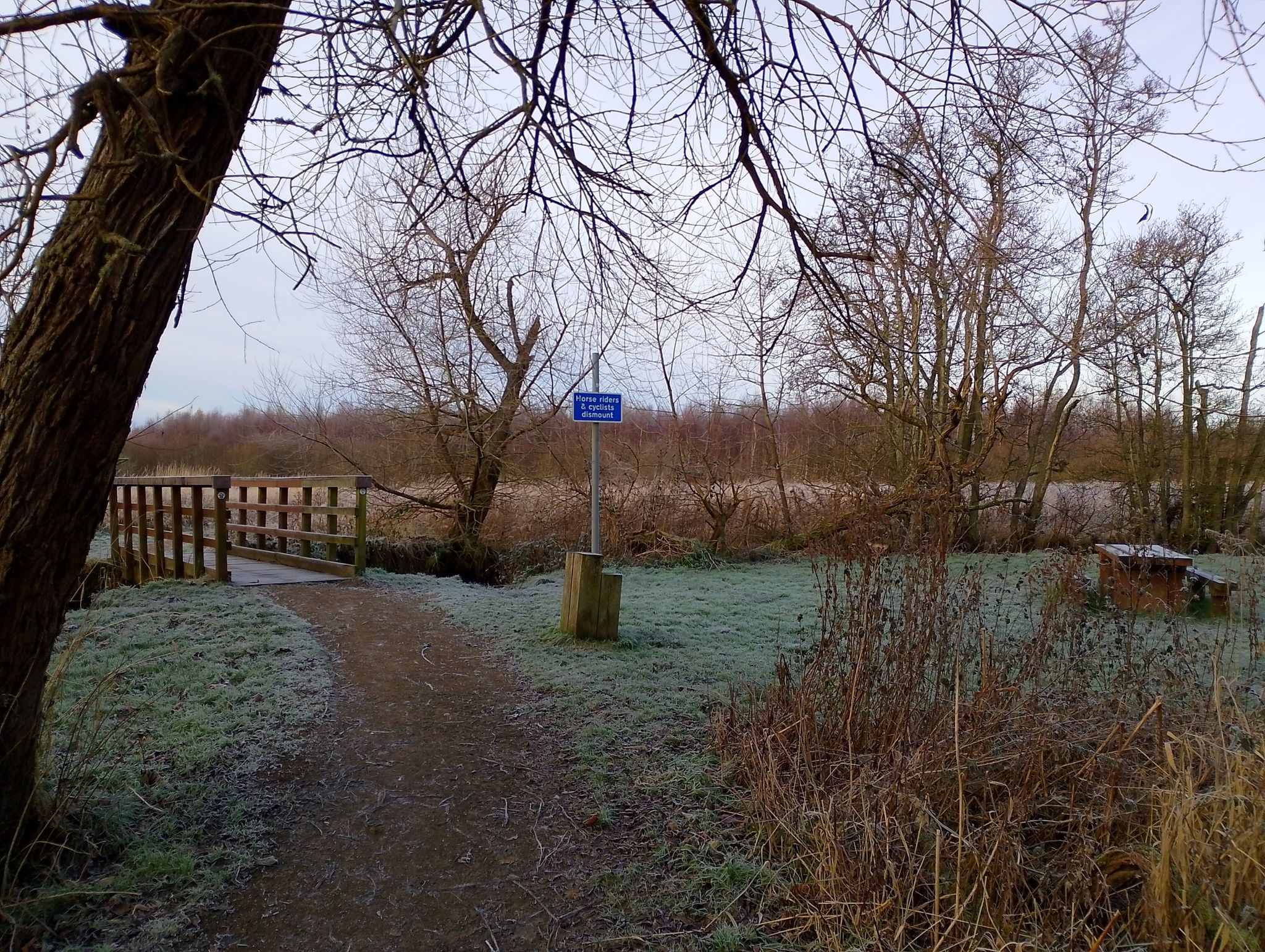 Trail leading through Balgownie woods to link path to Devilla Forest.