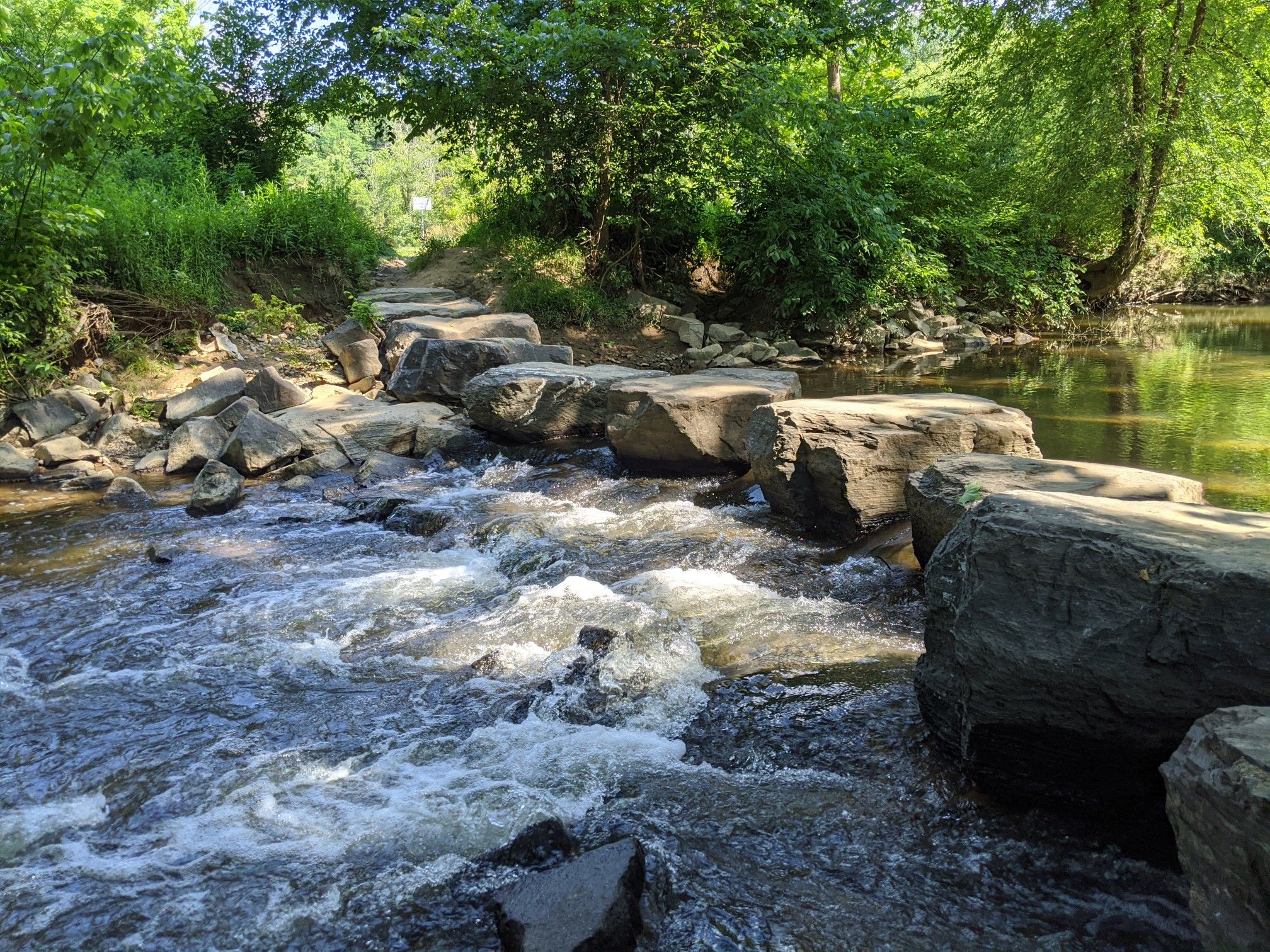 Rushing stream with large stepping stones and lush green foliage. - Meadowlark Botanical Gardens – Lake Fairfax Park Trail System loop from Wolf Trap National Park for the Performing Arts
