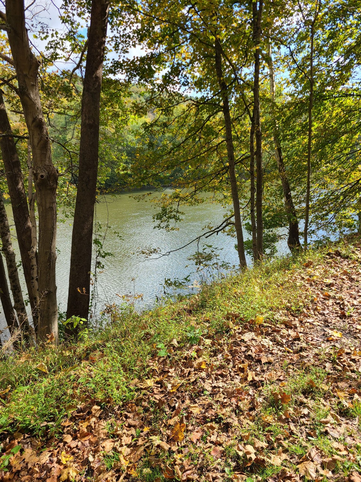Youghiogheny River near Cedar Creek Park in Belle Vernon, PA