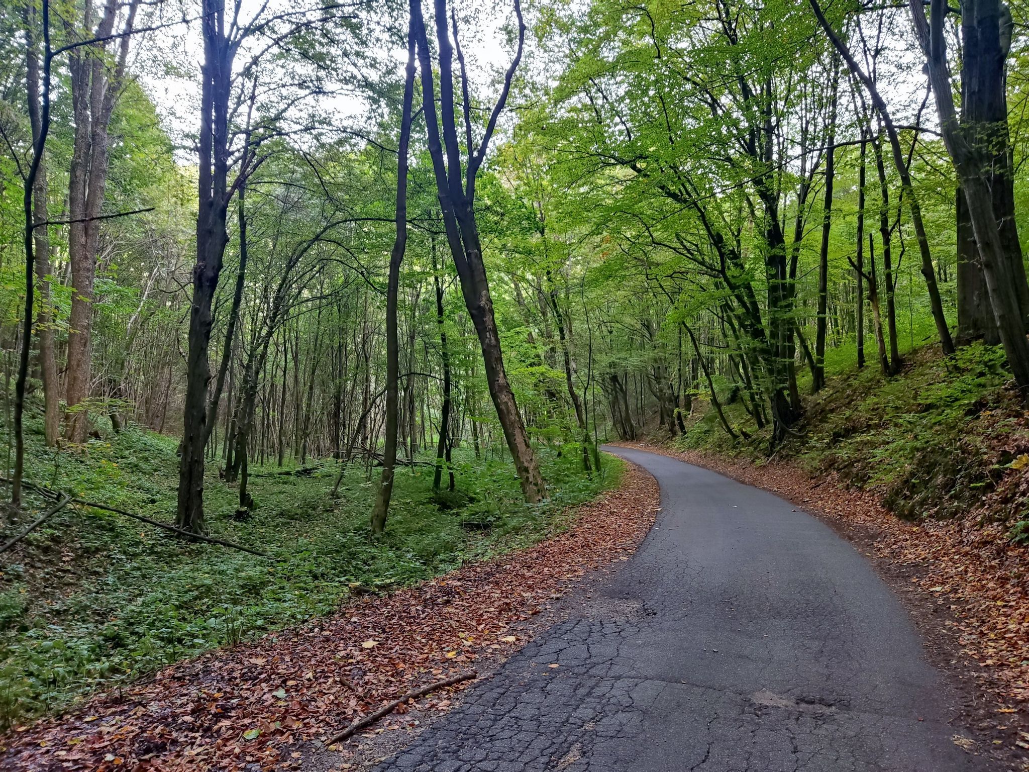 Zjazd do Doliny Będkowskiej.