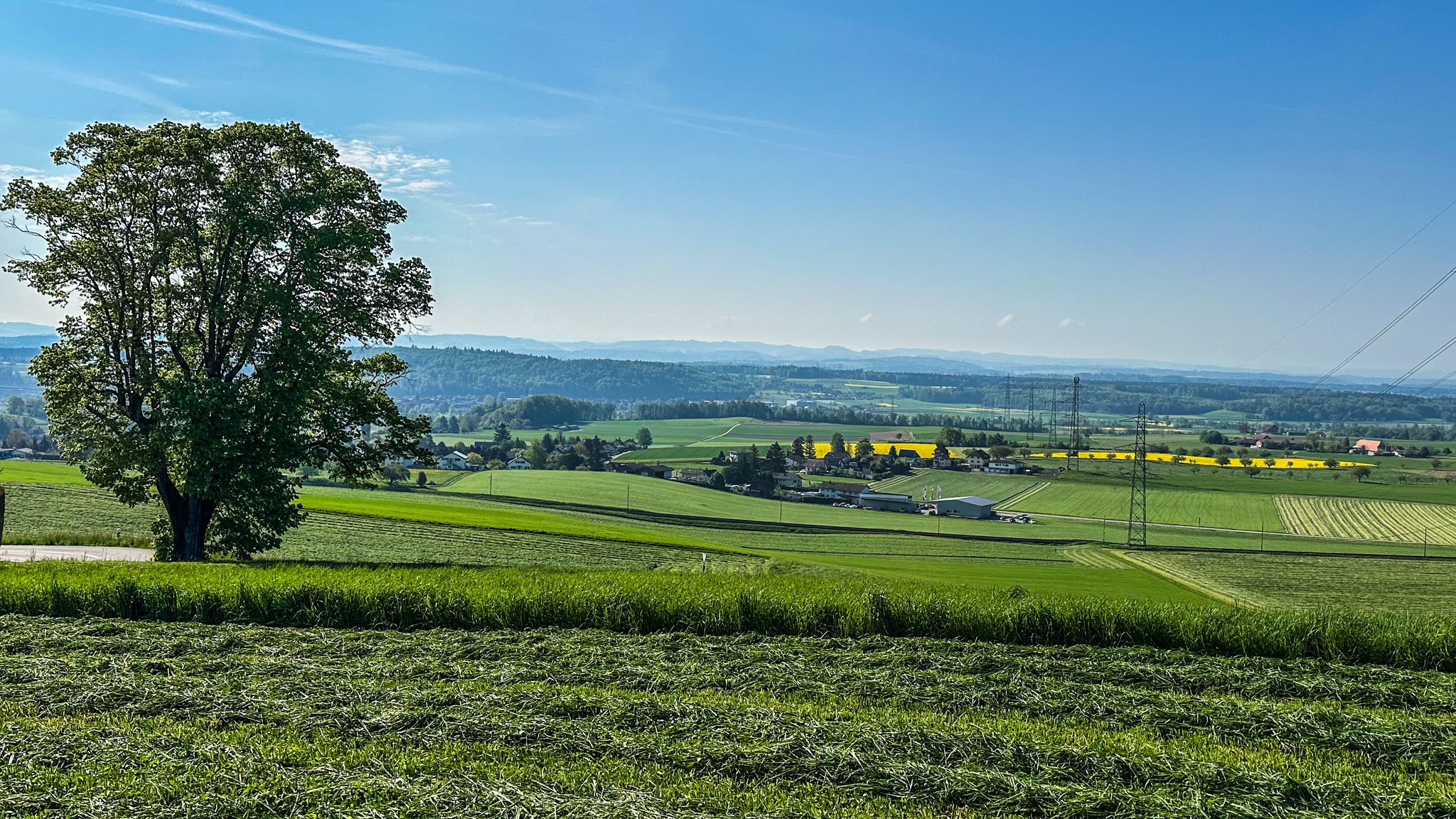 ...Alpenblick (sie schlummern grad wieder) oberhalb Wiedlisbach😉...