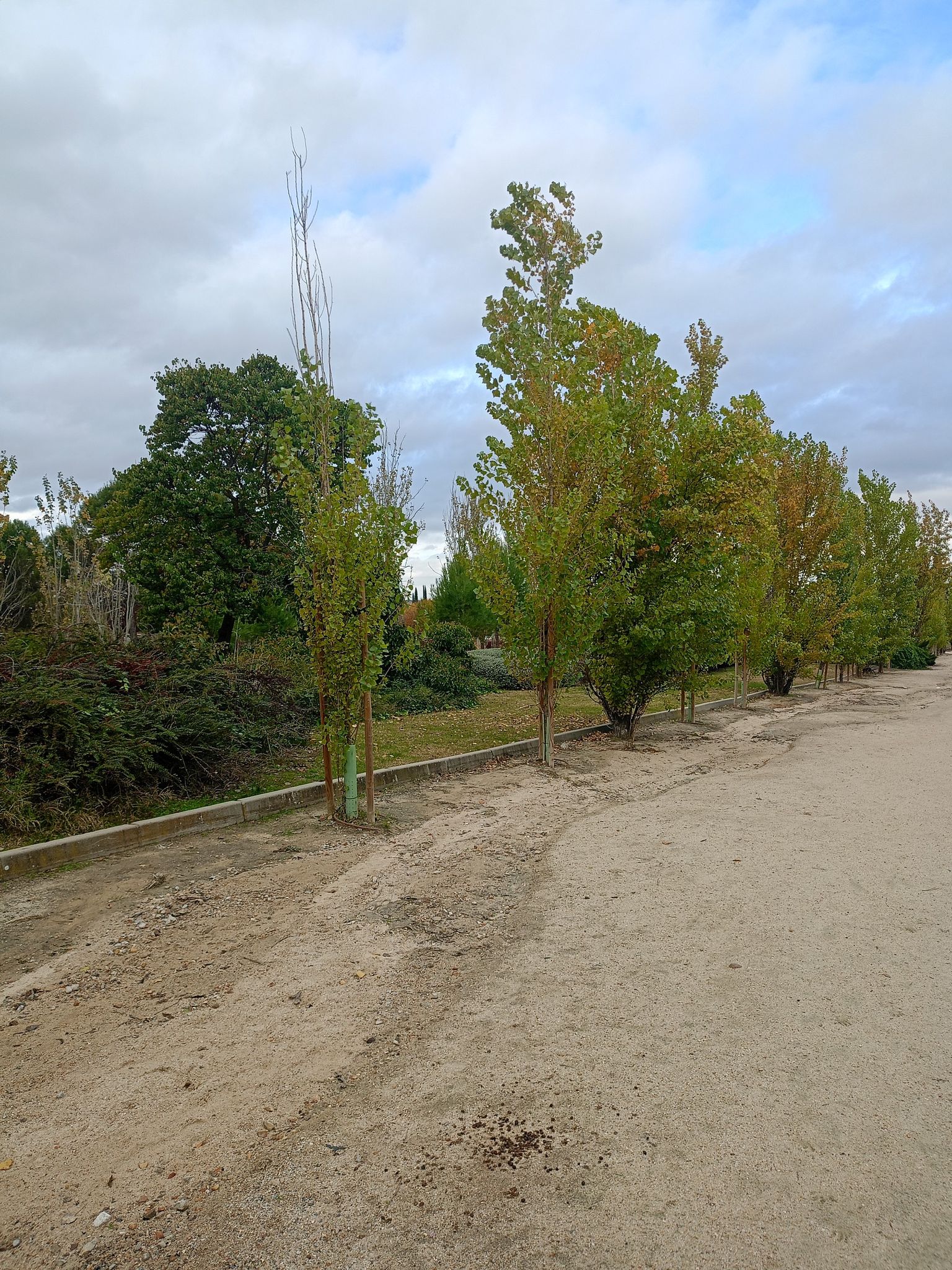 paisaje 2