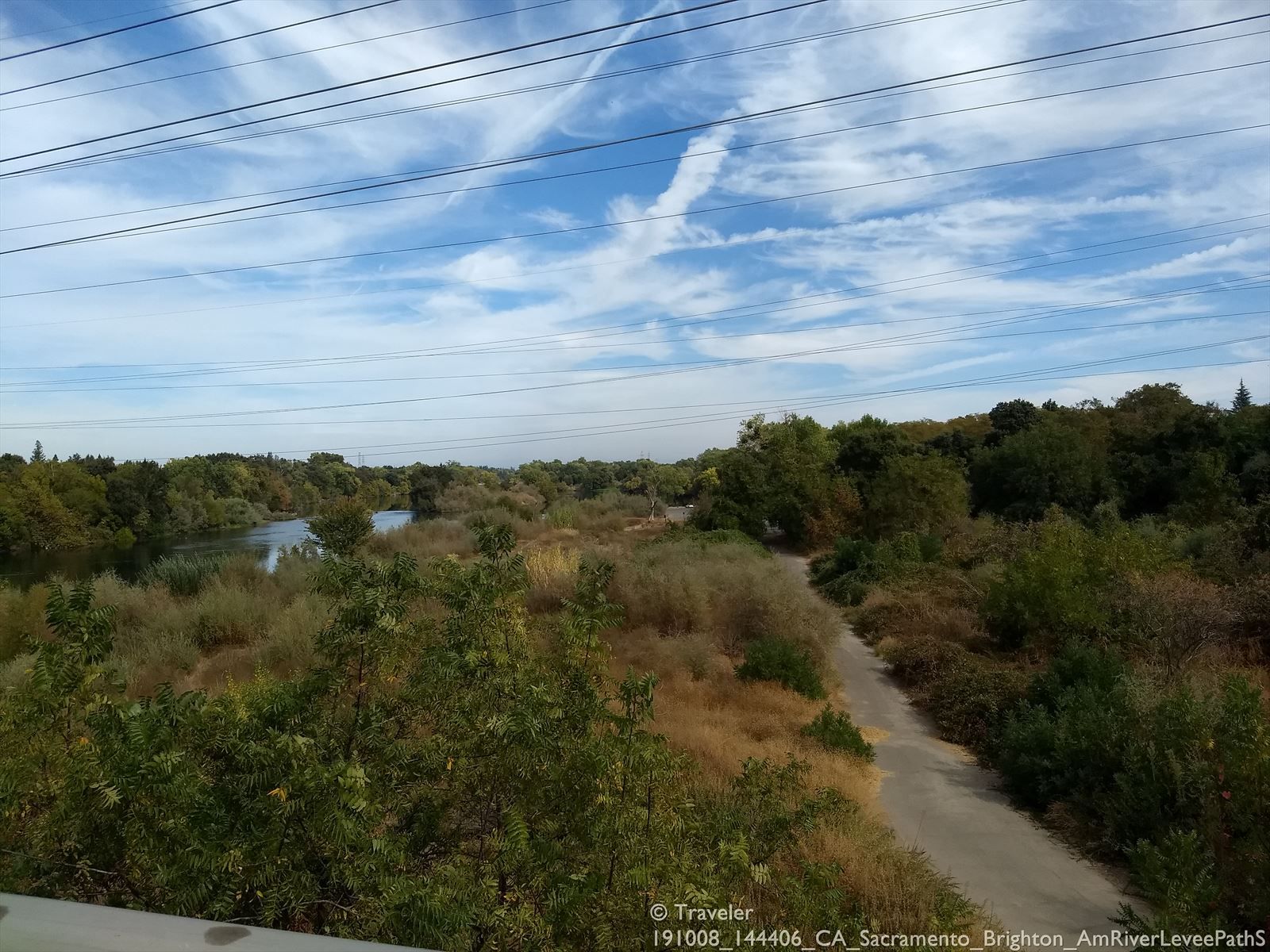 Overlook of a river and winding path through dense green and brown foliage. - American River Levee Path