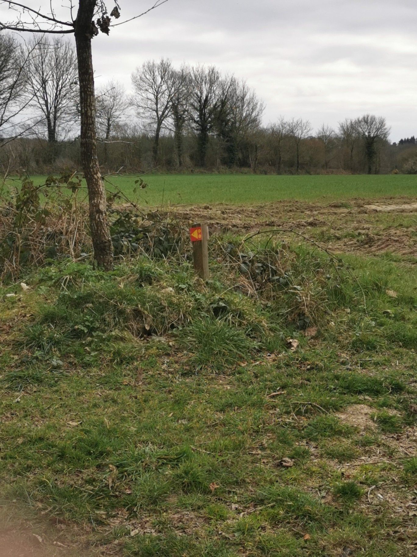 B14 manquante flèche vers gauche