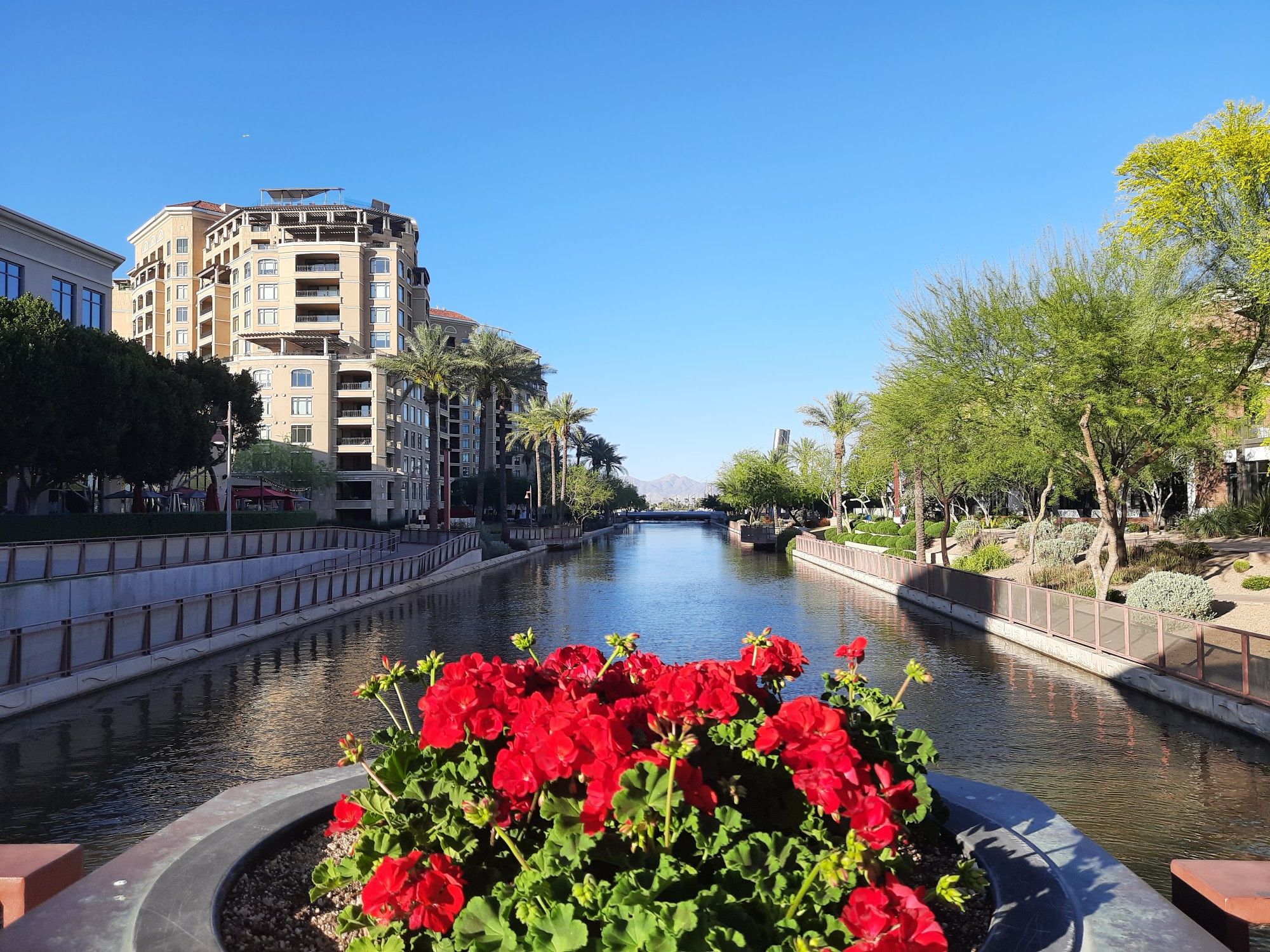 Bright red flowers in the foreground, with a canal and buildings behind, sunny. - Paradise Valley Loop via Sun Circle Trail