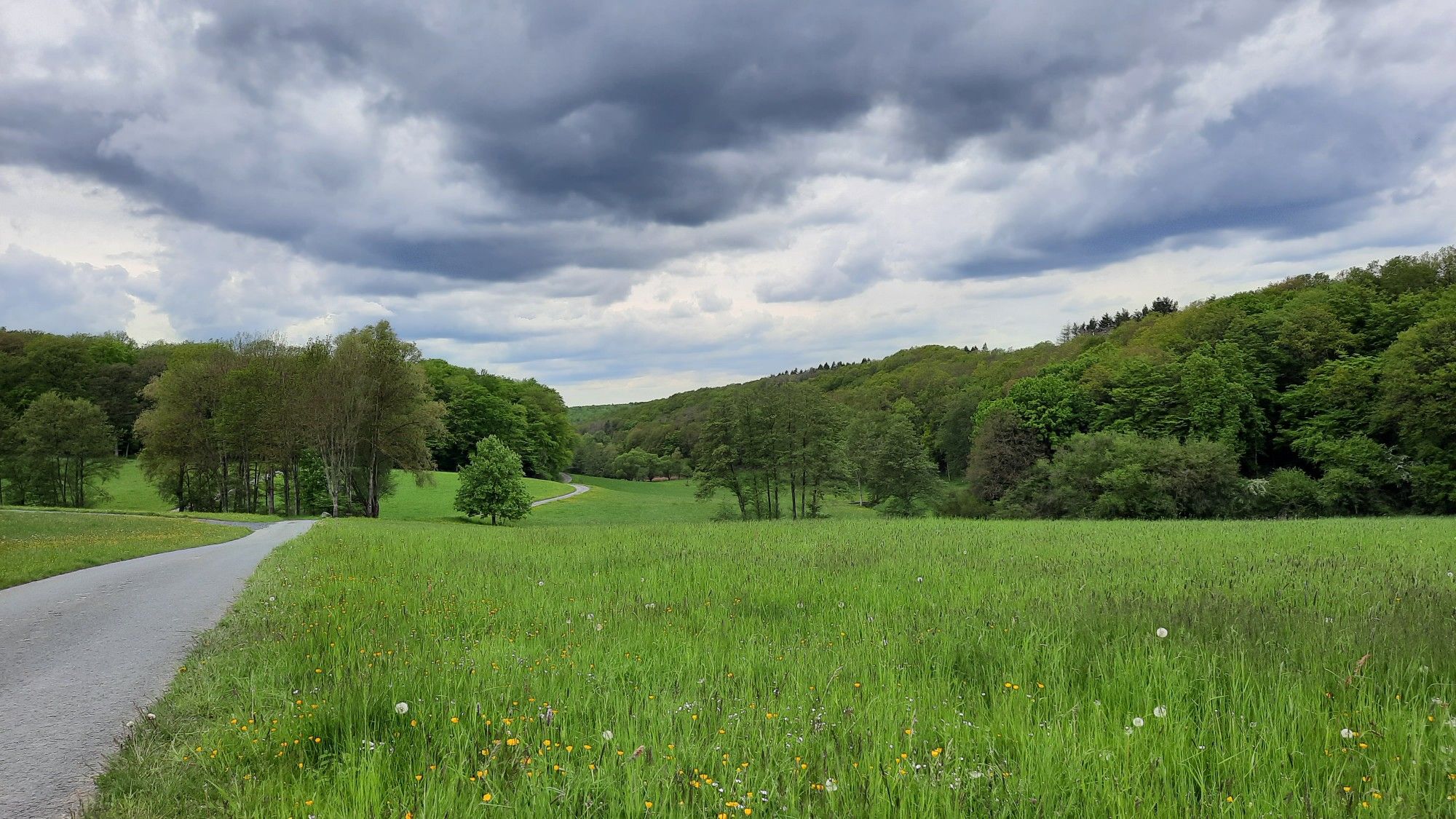 Eisenbachtal und "Burghölle Herrenwäldchen"