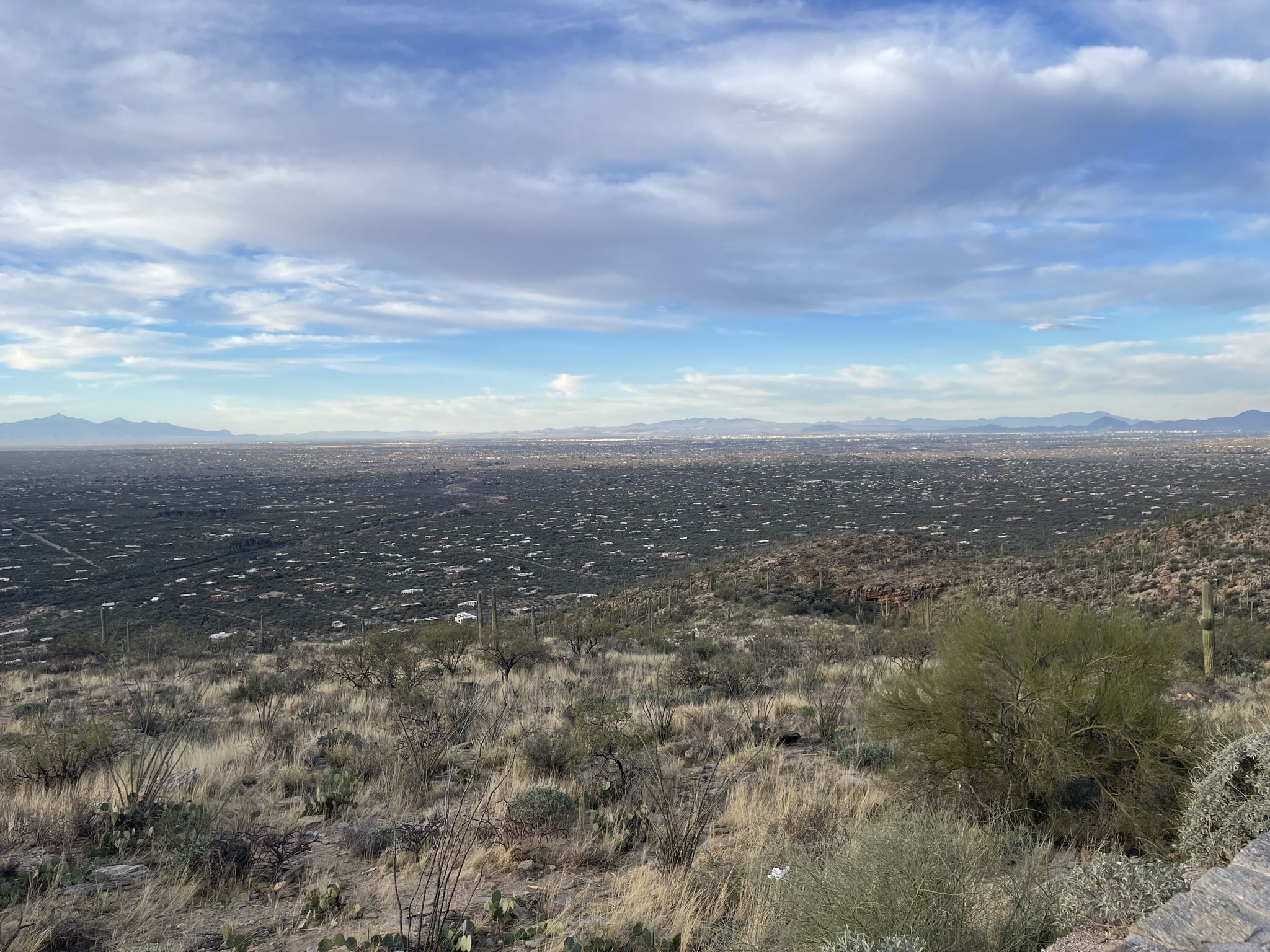 Wide panoramic view of a vast desert valley with distant mountains under cloudy sky. - Brett’s Mt. Lemmon Climb – Babad Do'ag Viewpoint loop from Colonia Tanque Verde