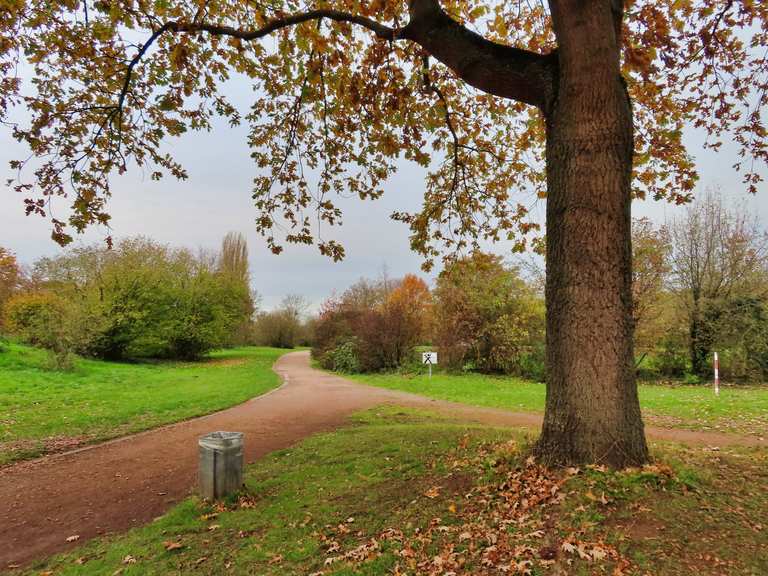 17.11.2020 Luisenplatz Mathildenplatz Herrngarten Sankt Elisabeth