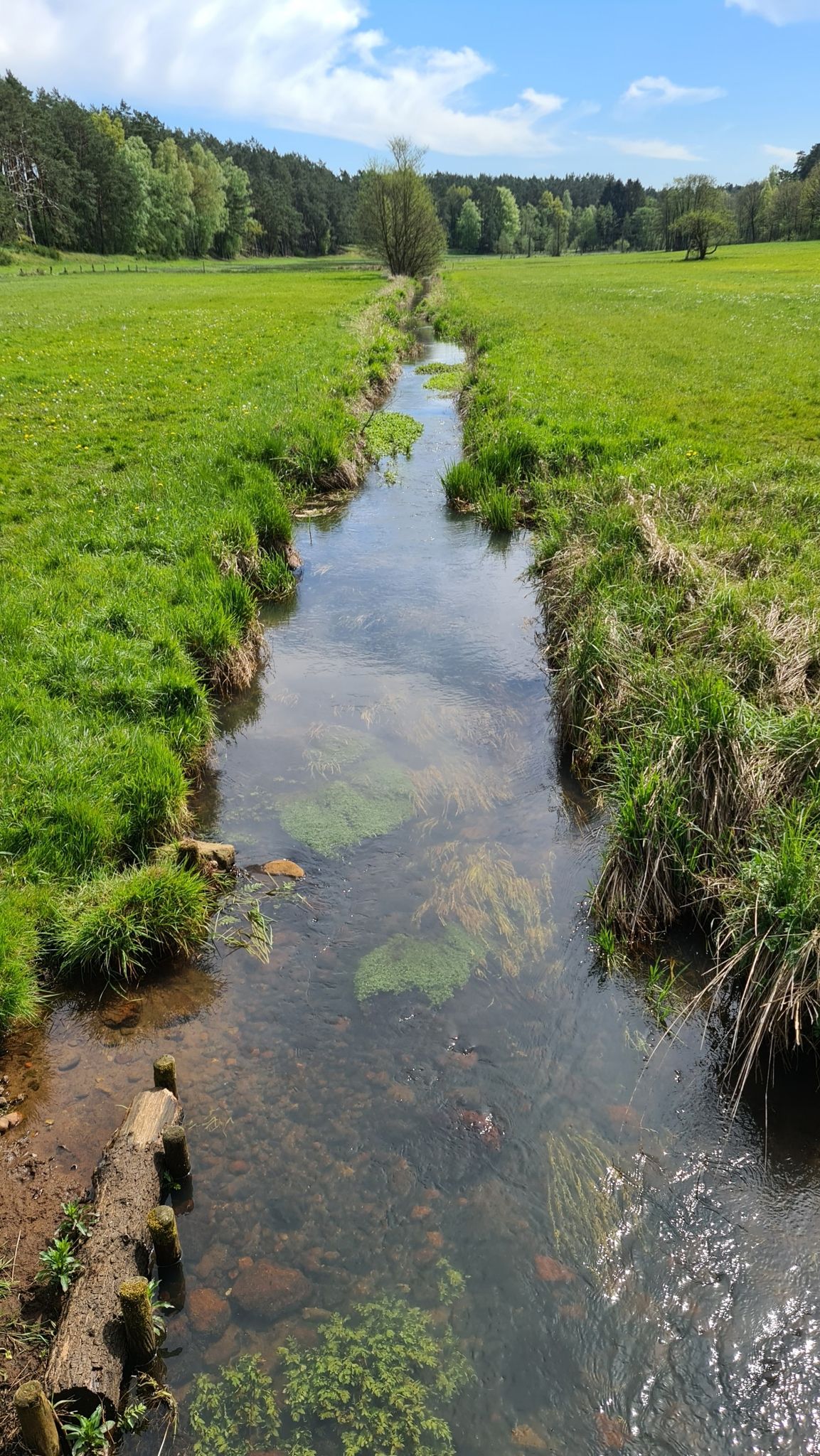 Der Aubach