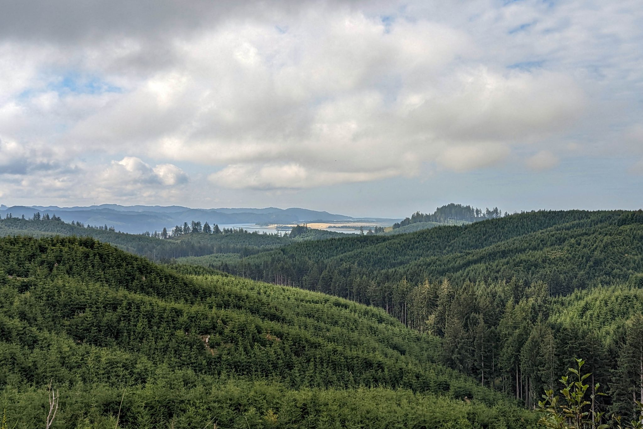 Expansive view of rolling green forested hills under a cloudy sky. - Oregon Coast Scenic Bikeway