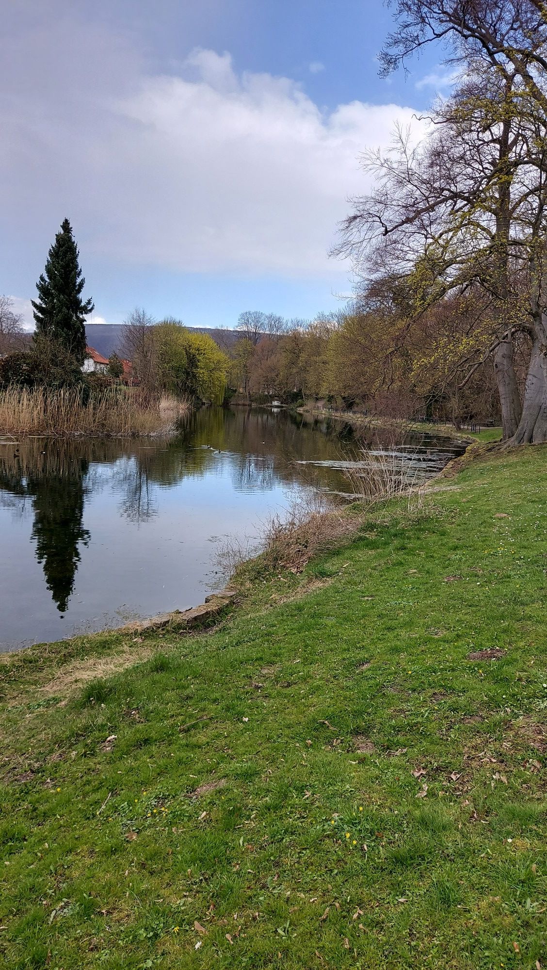 Kleiner See im Stadtpark Rinteln