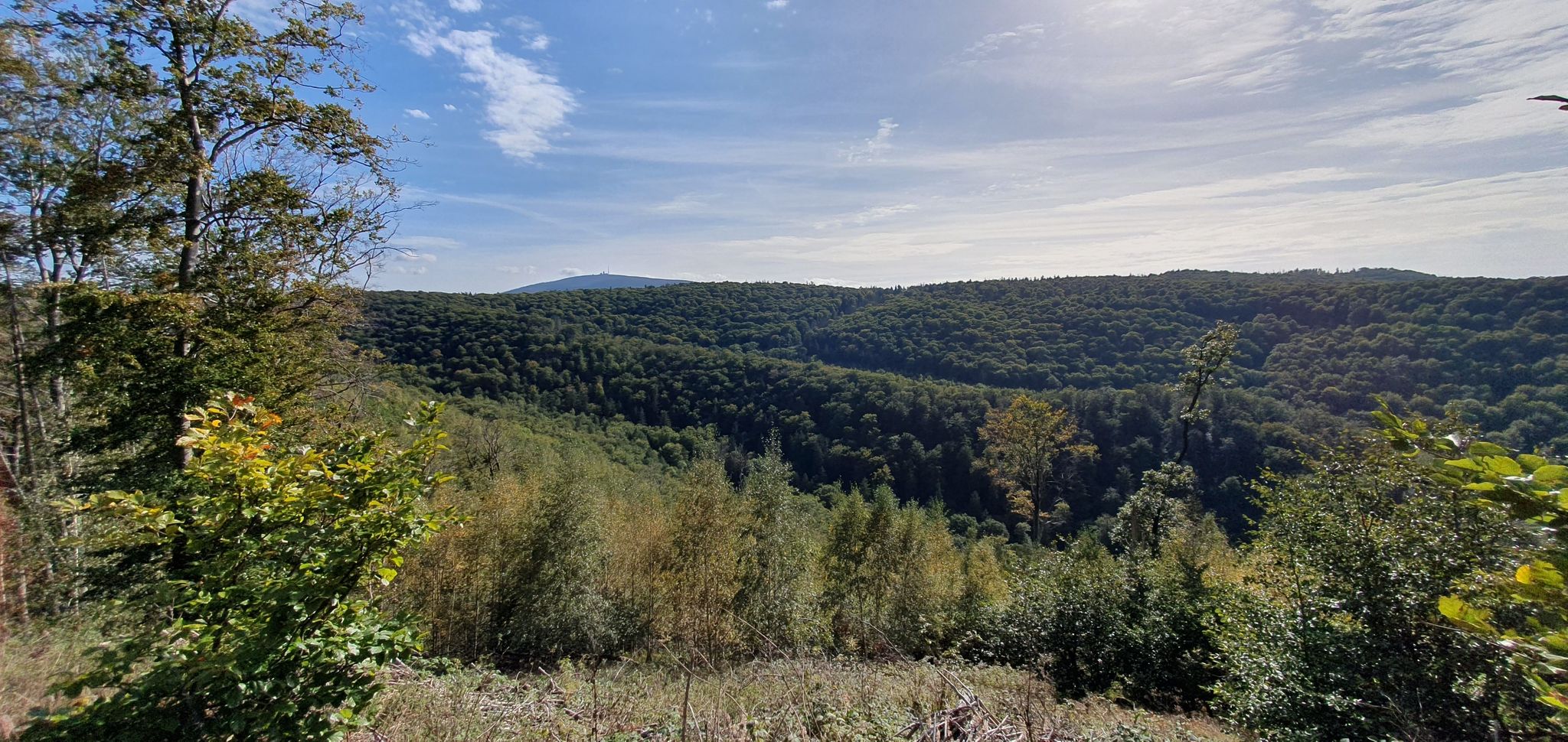Blick zu Brocken