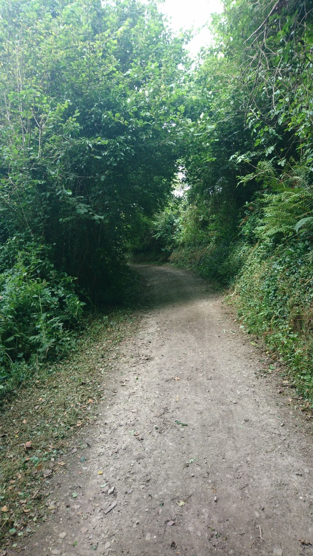 Entre Terre et Mer - Forest Path 
