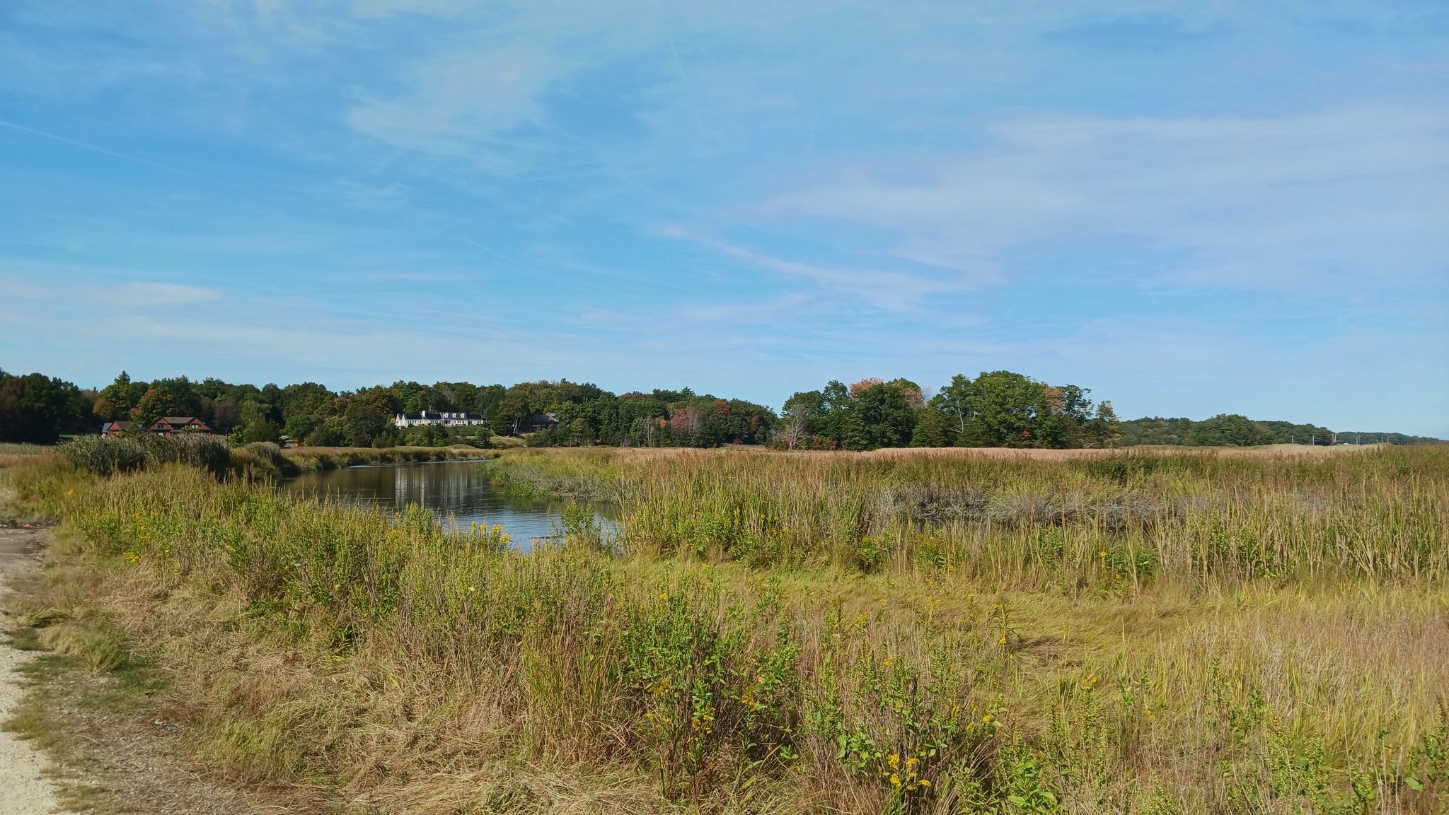 Grassy field with a small pond, surrounded by distant trees under a blue sky. - Plum Island Beach – Kents Island Creek Salt Marsh loop from Riverside