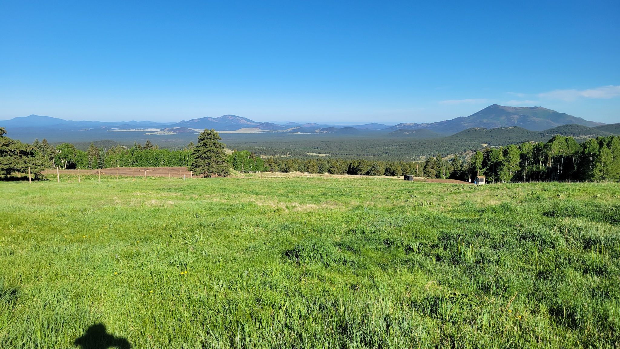 Vast green field with distant forested hills and mountains under clear sky. - Humphreys Peak Trail Junction – Humphreys Peak loop from Veit Spring Trail