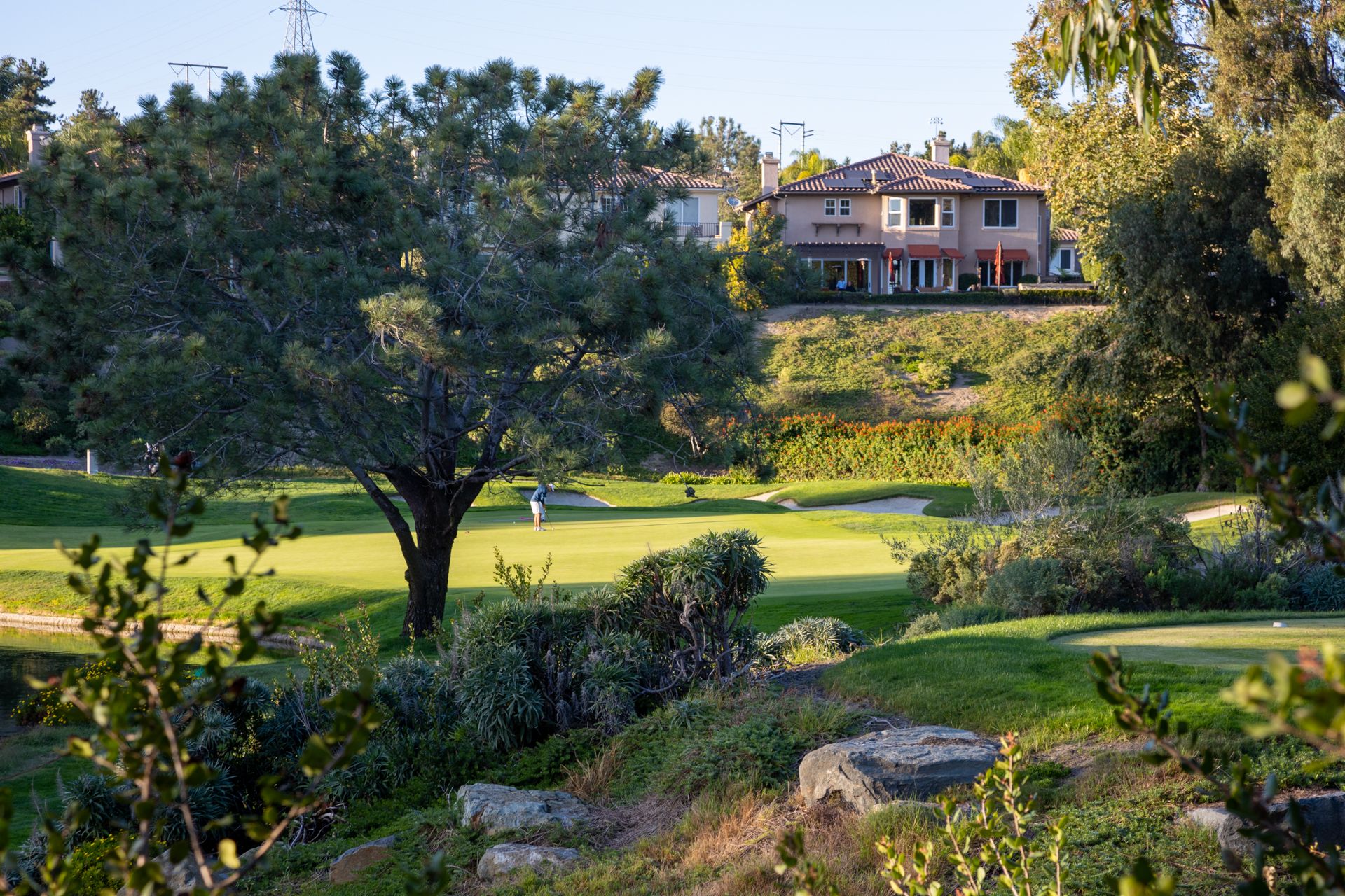 Golfer on a sunny green course with a large tree and hillside house. - Golf View and Black Sage Trail Loop