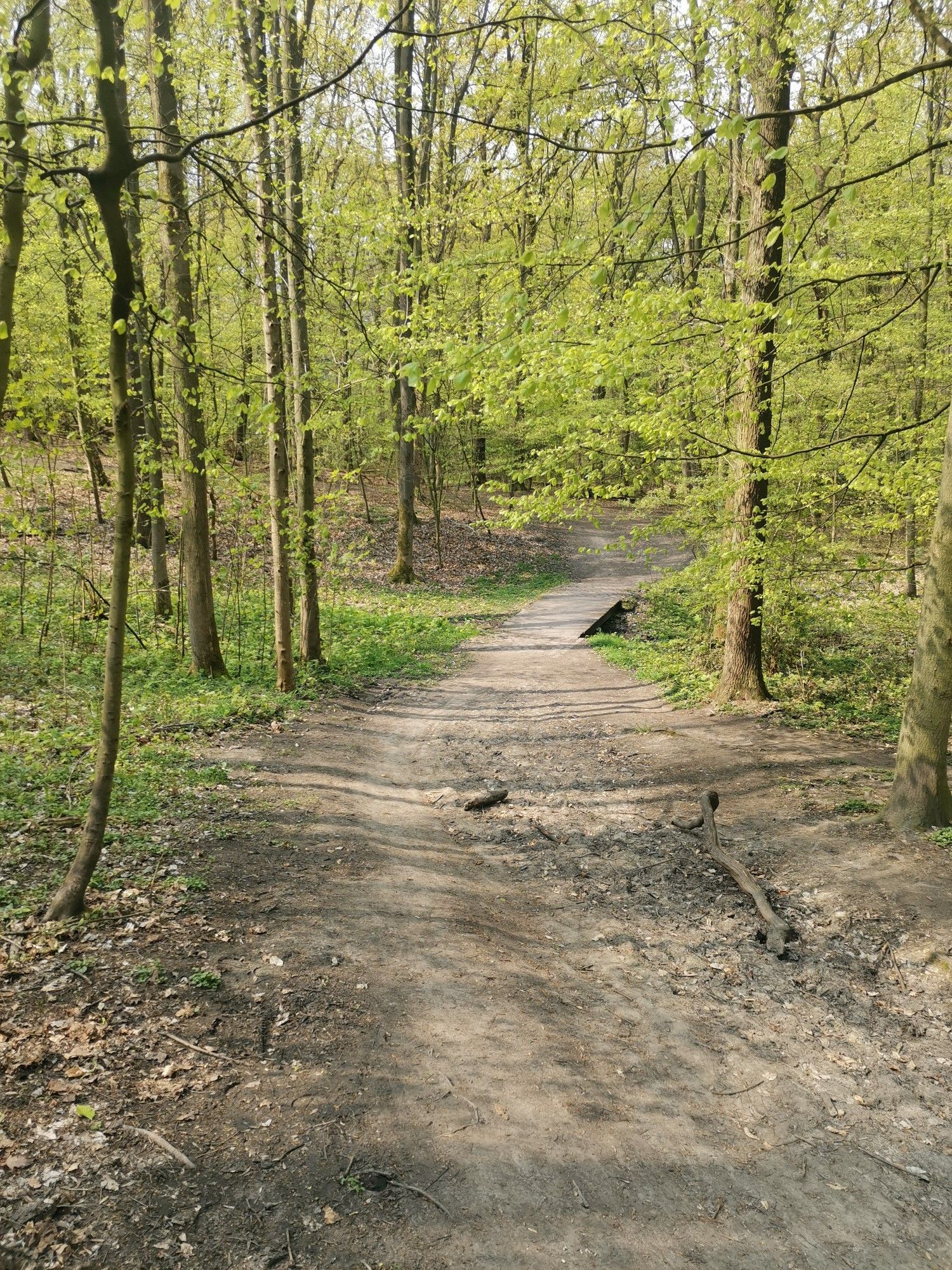 Schweriner Berg