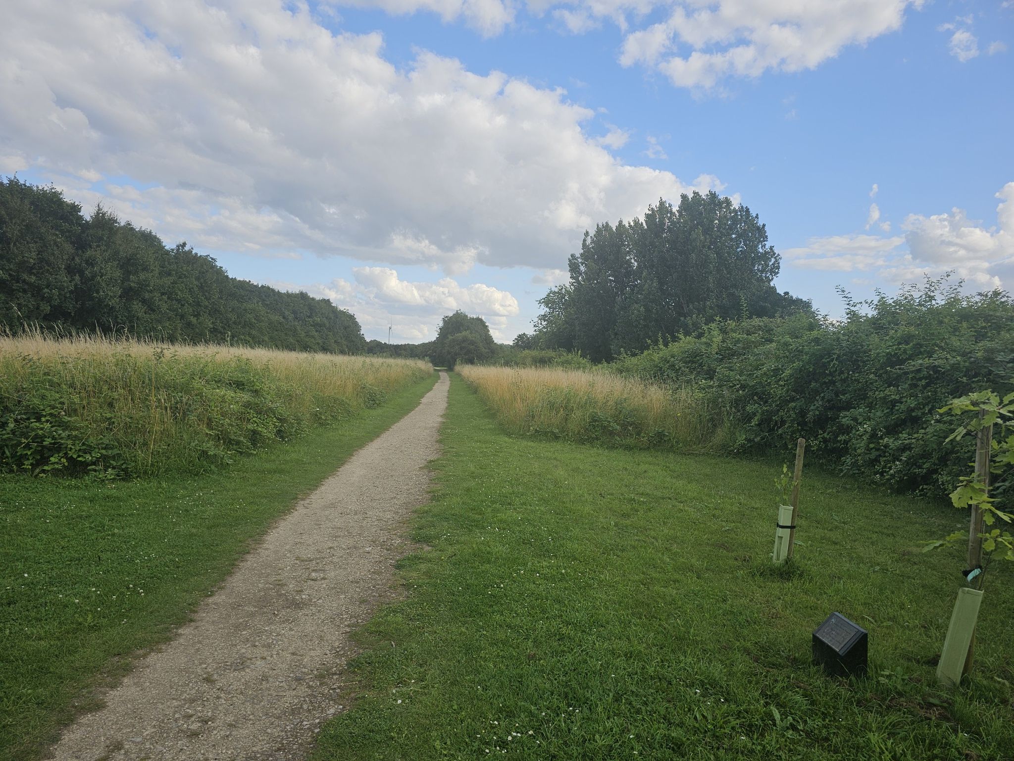 Whitemore nature reserve