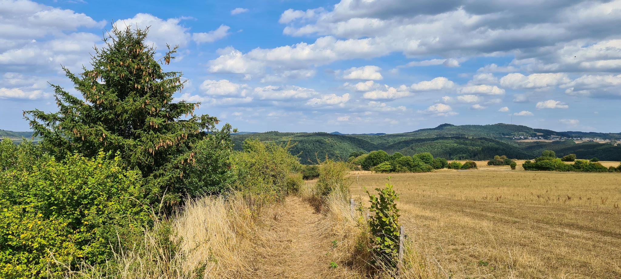 Blick auf Büscheich