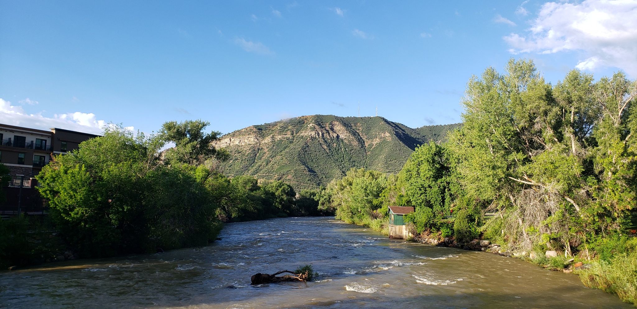 A wide river flows past green trees and a large, verdant mountain. - Animas River Trail