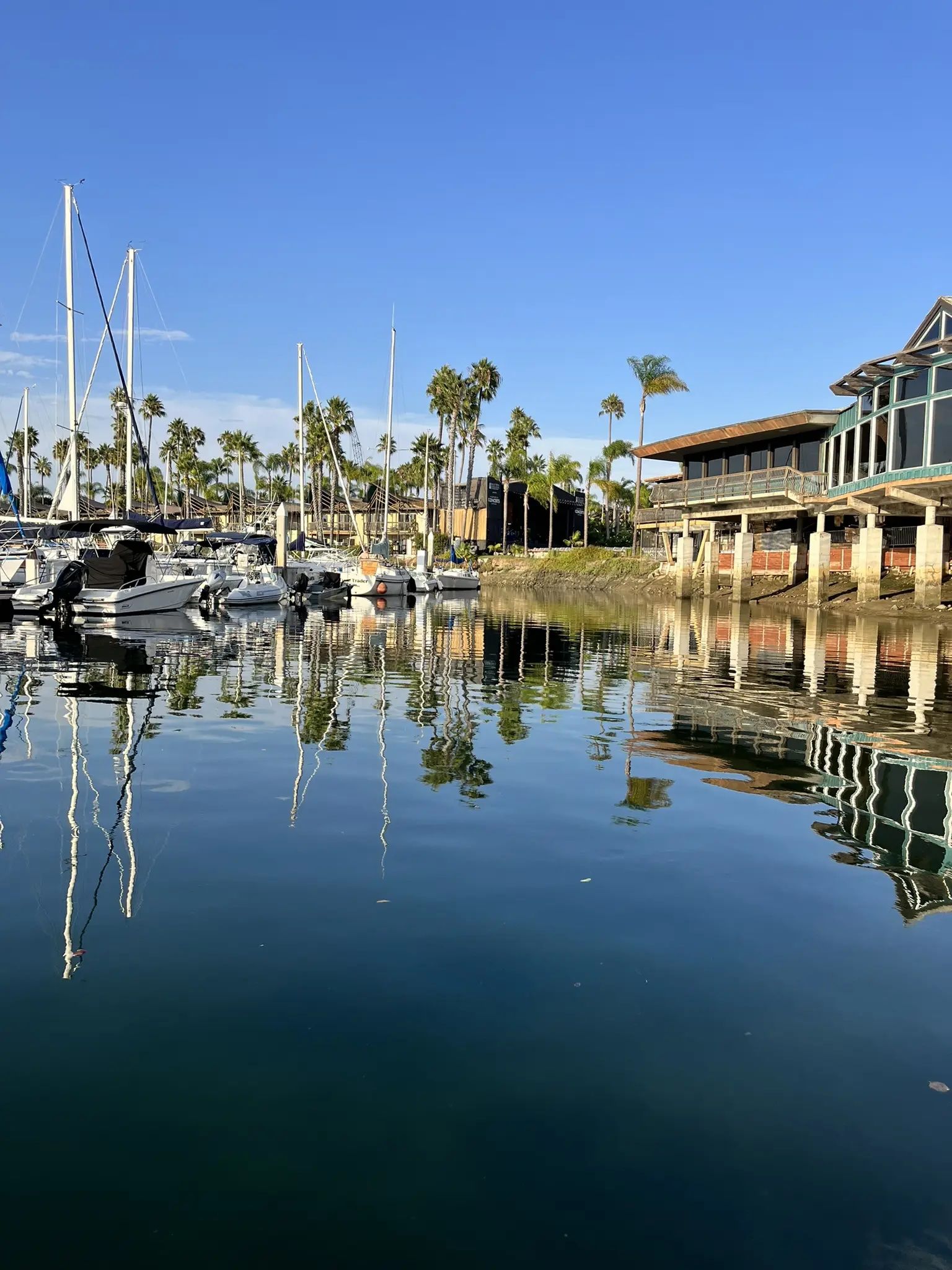 Sunny marina with boats, palm trees, and building reflecting in calm water. - Yokohama Friendship Bell & Bessemer Beach loop
