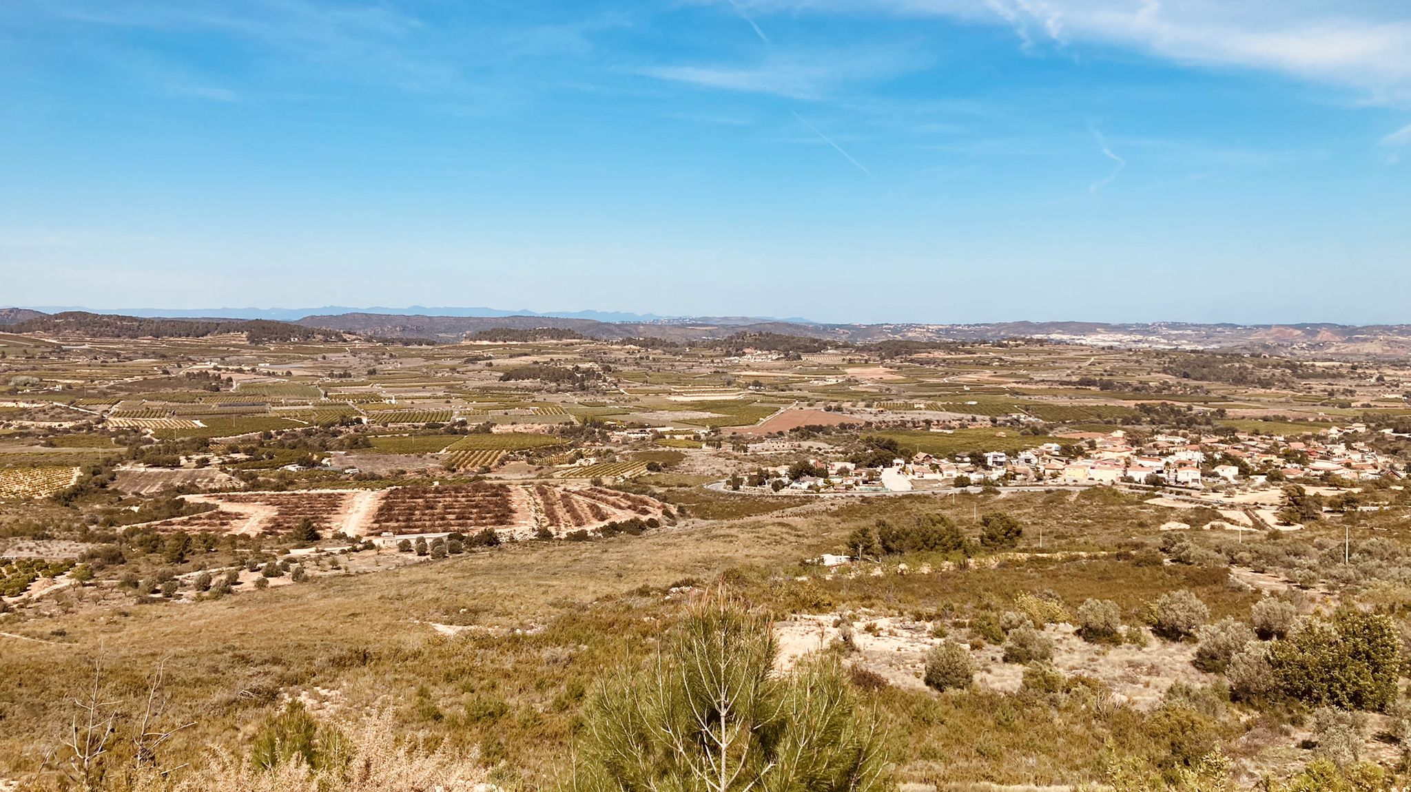 La Hoya de Buñol