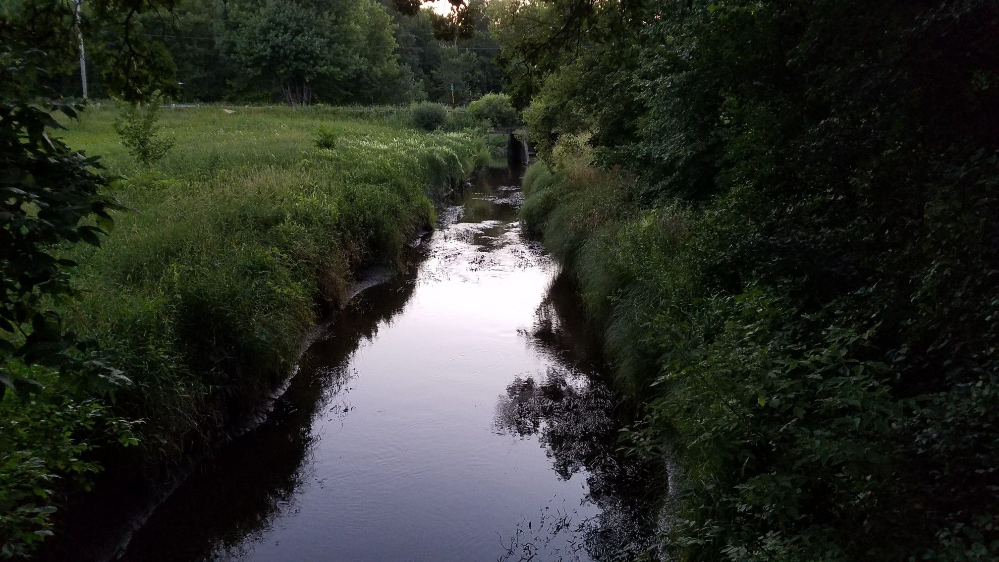 Dark, narrow stream flowing through lush green banks at dusk. - Eastman Nature Center and Elm Creek Park Reserve Loop