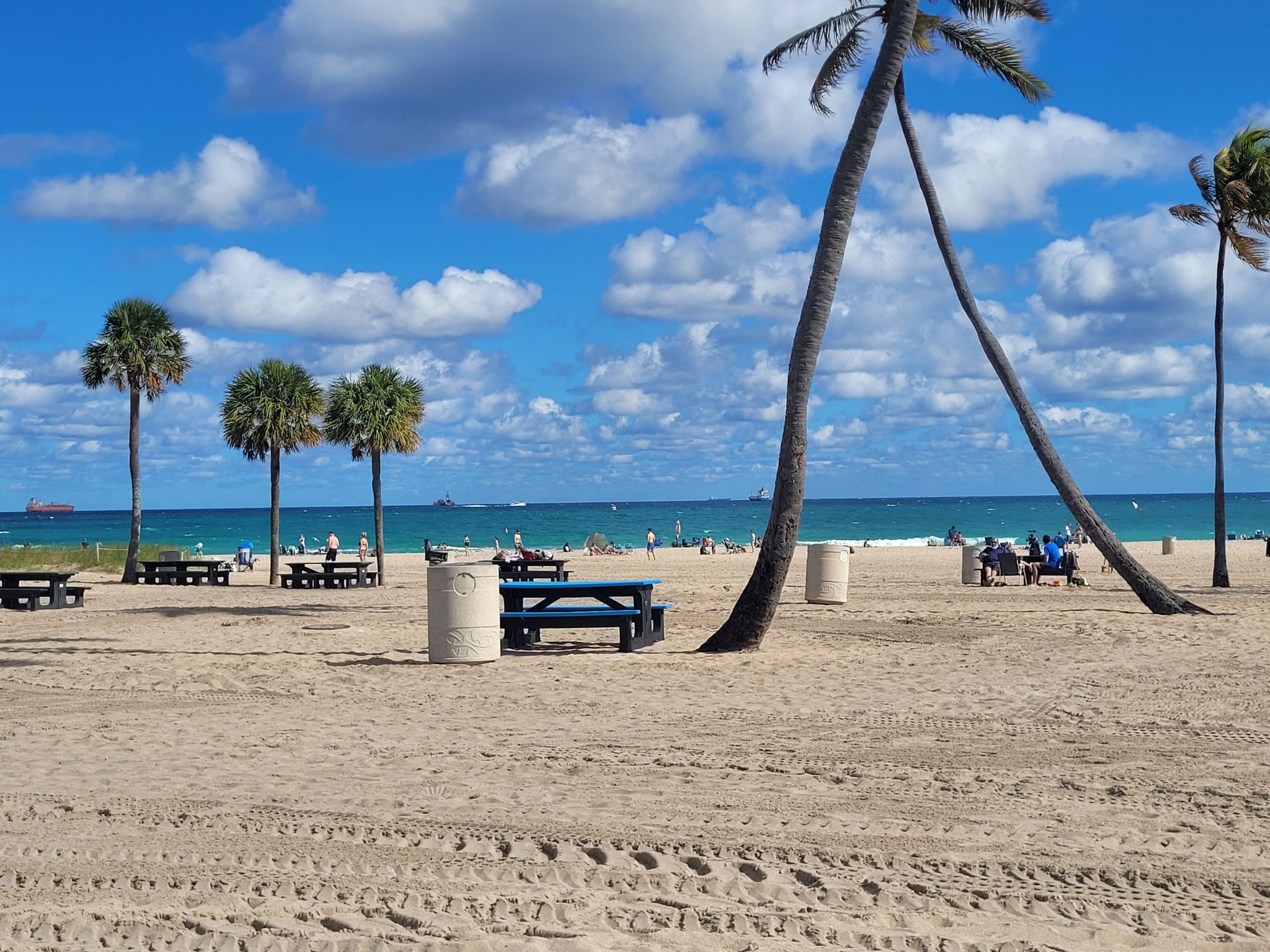 Sunny beach with palm trees, picnic tables, and people enjoying the day. - Beach Boardwalk Promenade