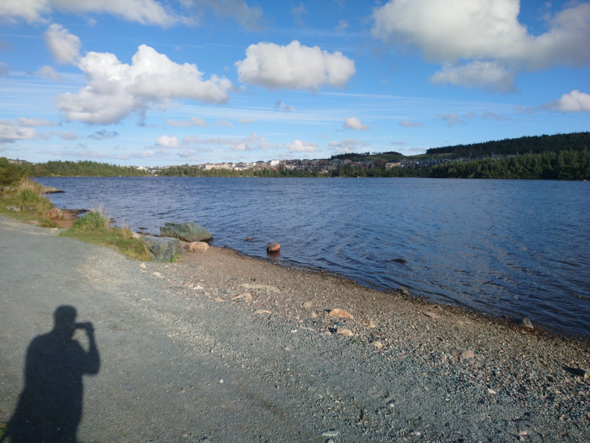 Neill's Pond