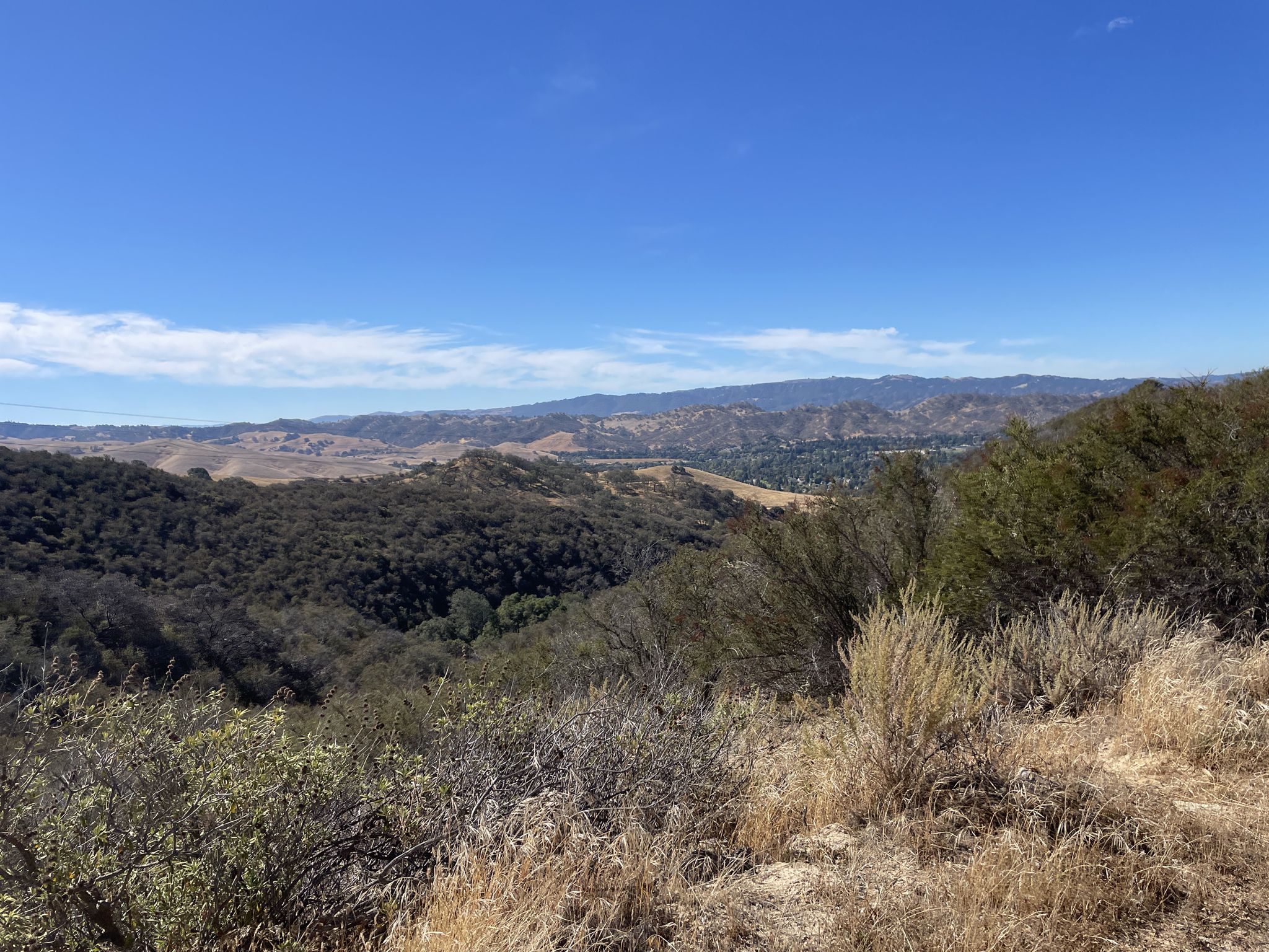 Expansive view of green and brown rolling hills under a bright blue sky. - Paraiso, Manzanita and Ohlone Trail Loop