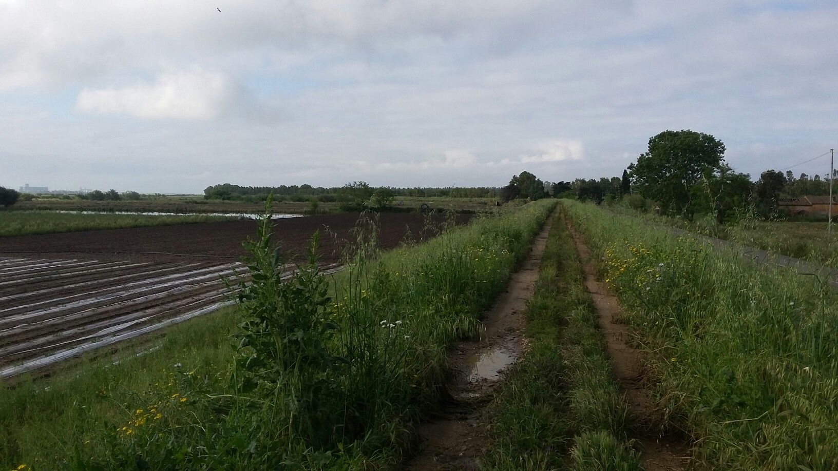 Deichweg
