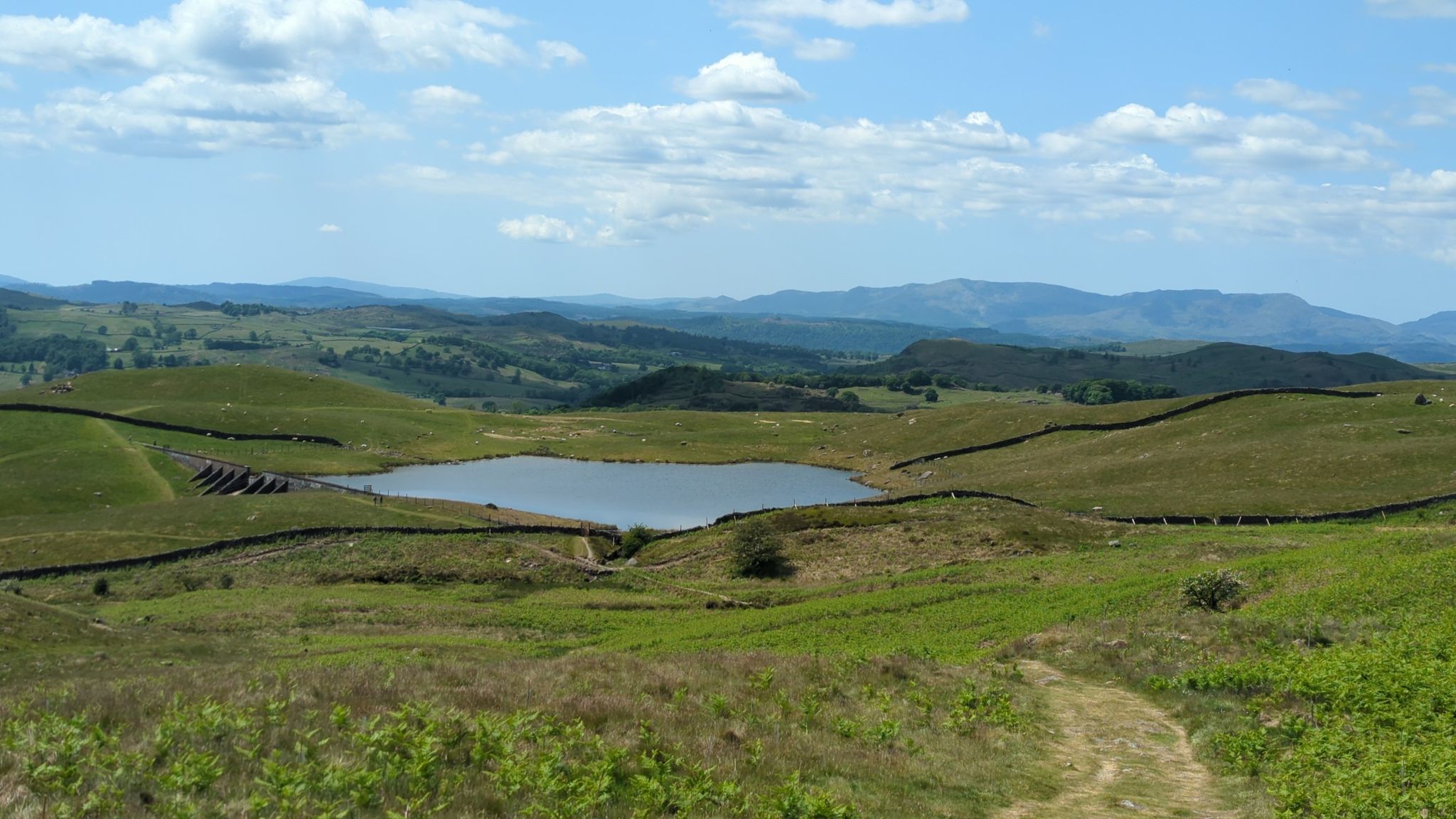 Pottern Tarn