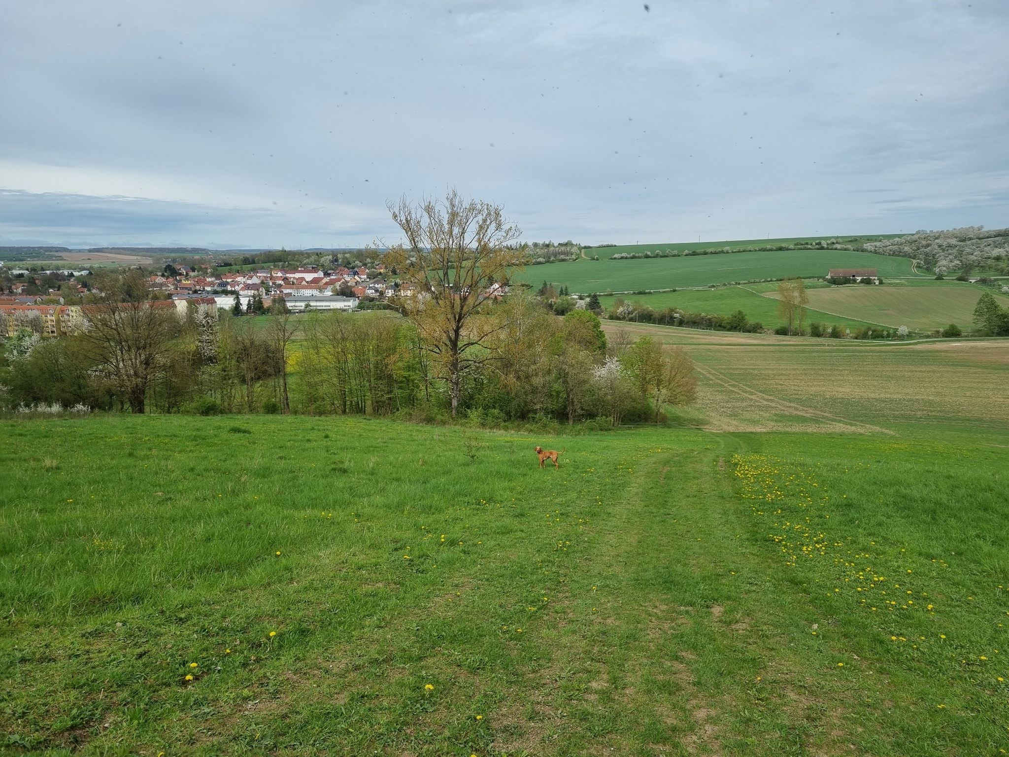Rückweg