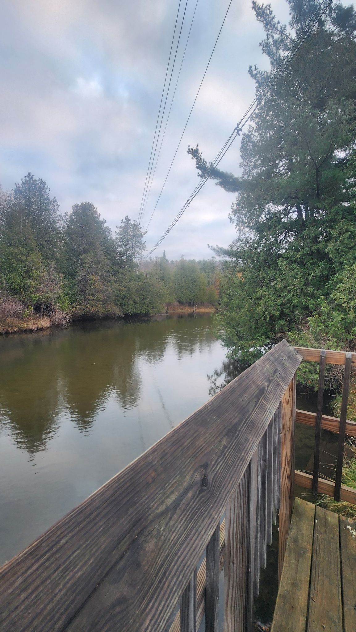 View over a wooden railing of a river with power lines overhead. - Hiking loop from Miller Creek Nature Reserve