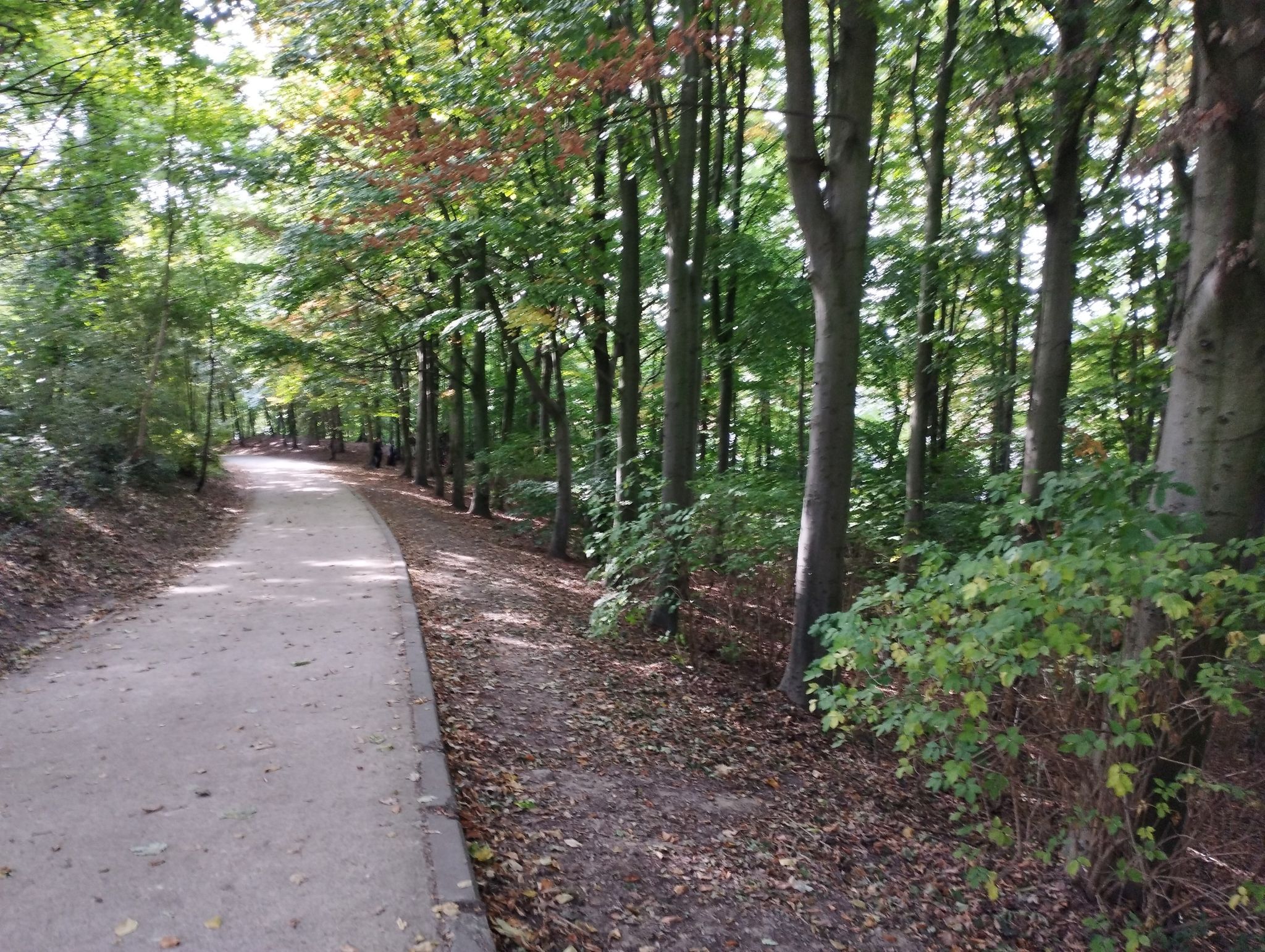 Sentier VTT