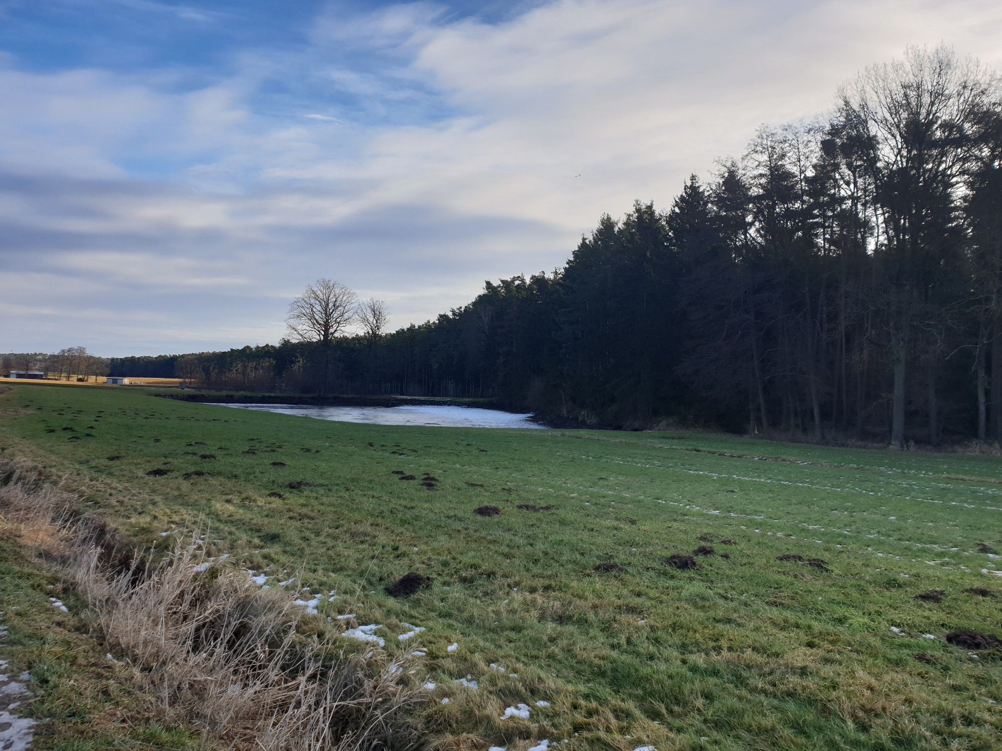 Wiesengrund
