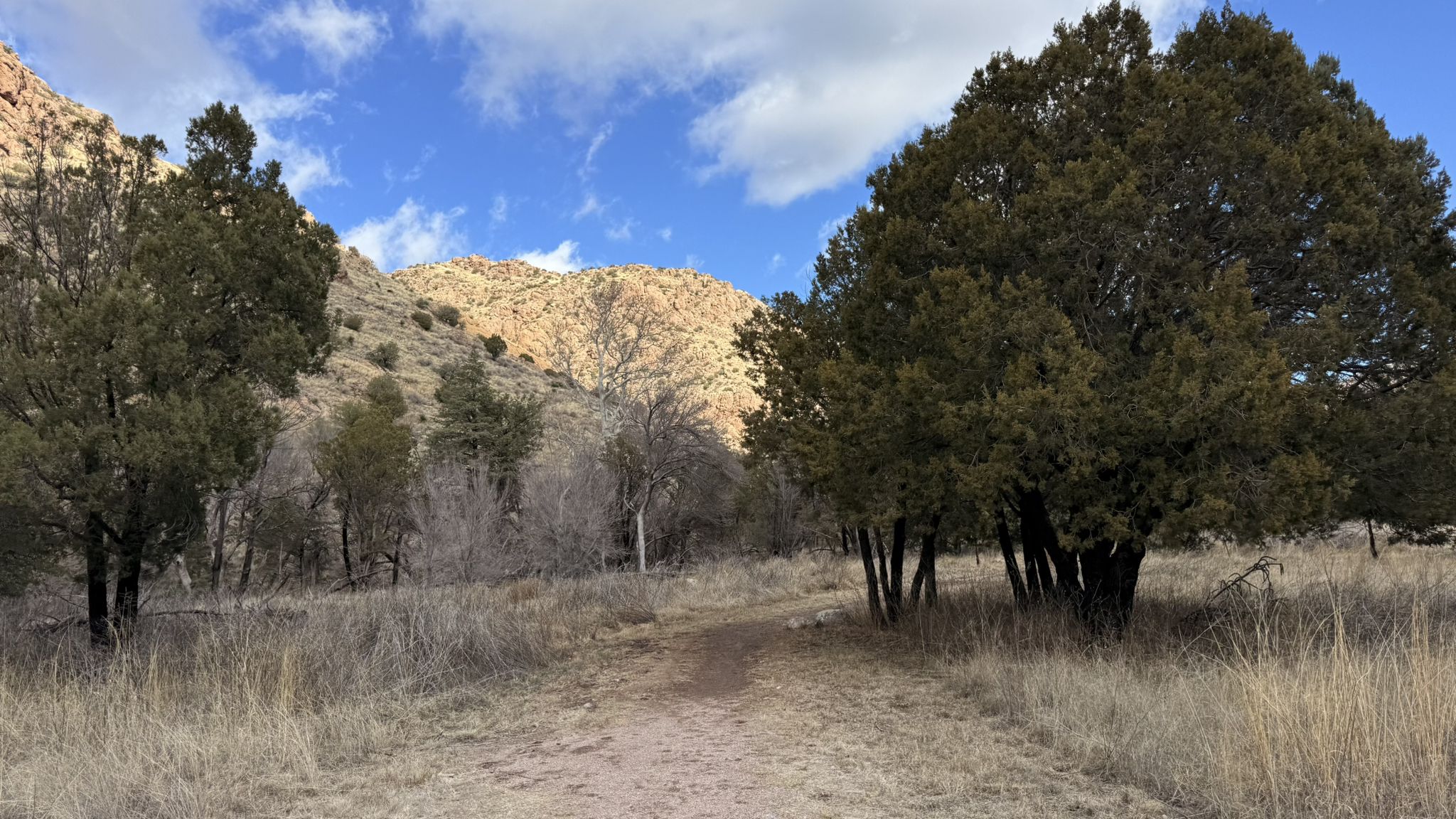 Dirt path through dry grass and trees towards sunny mountains. - Silver Spur Meadow Trail