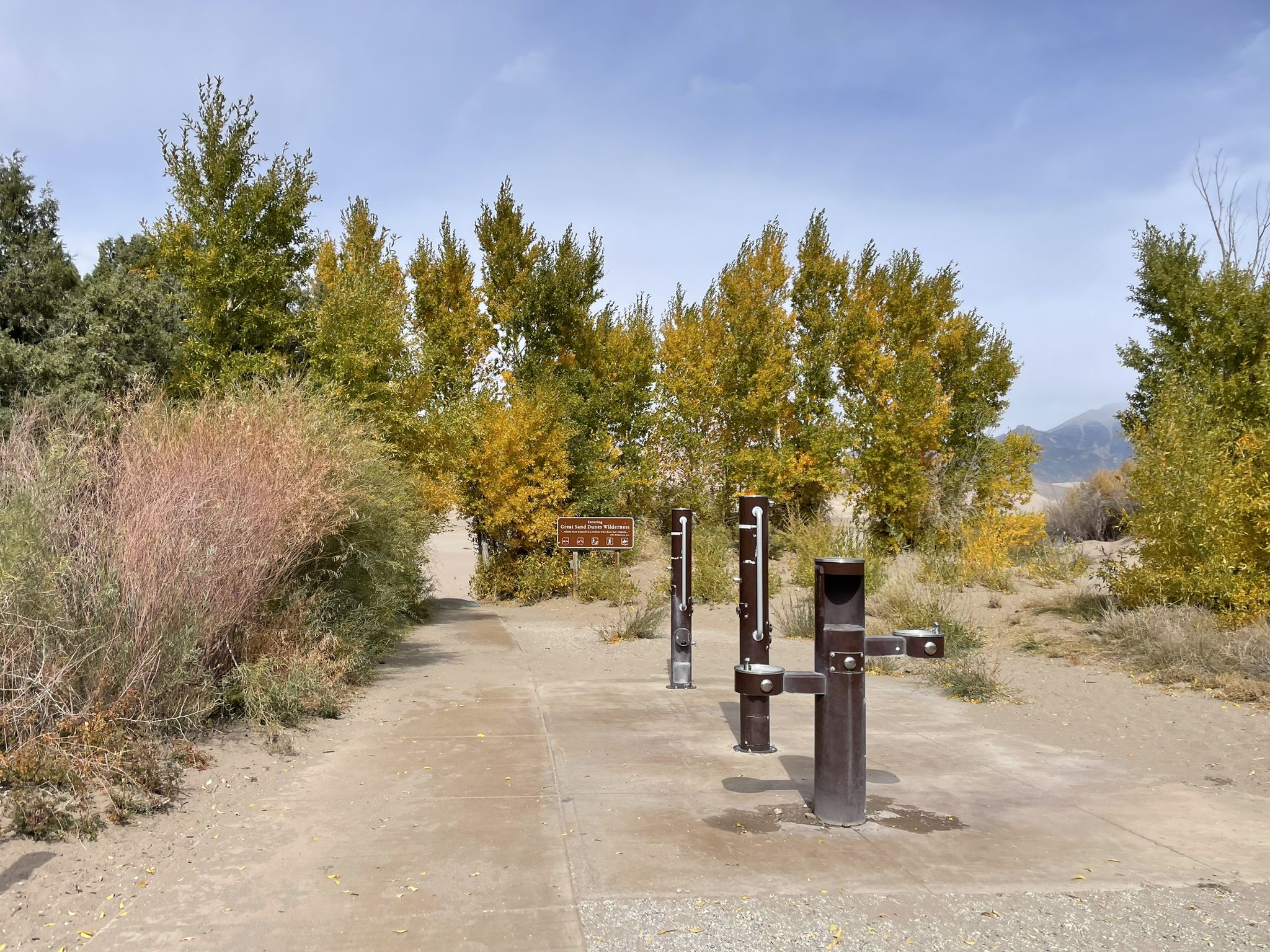 Outdoor water spigots on a sandy path, surrounded by trees with yellow leaves. - High Dune – Medano Creek loop from Dunes Parking