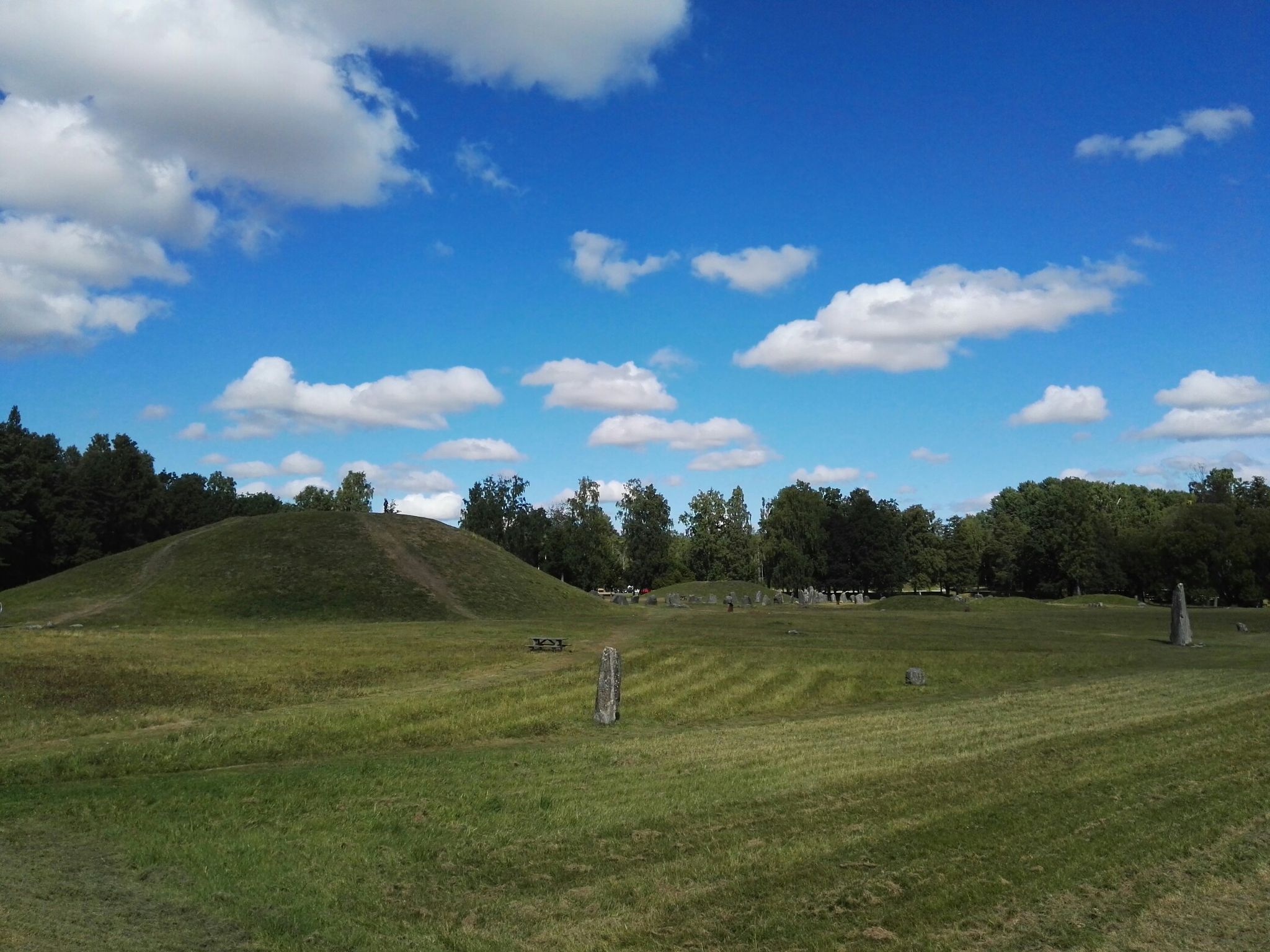 viking grave