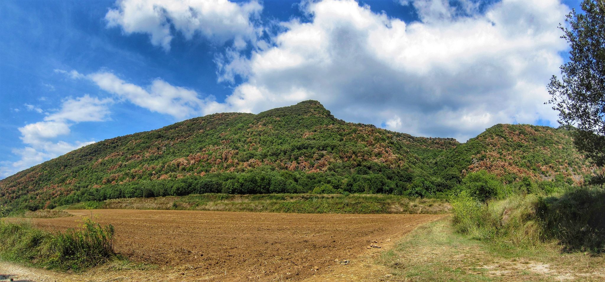 Punta de Rella