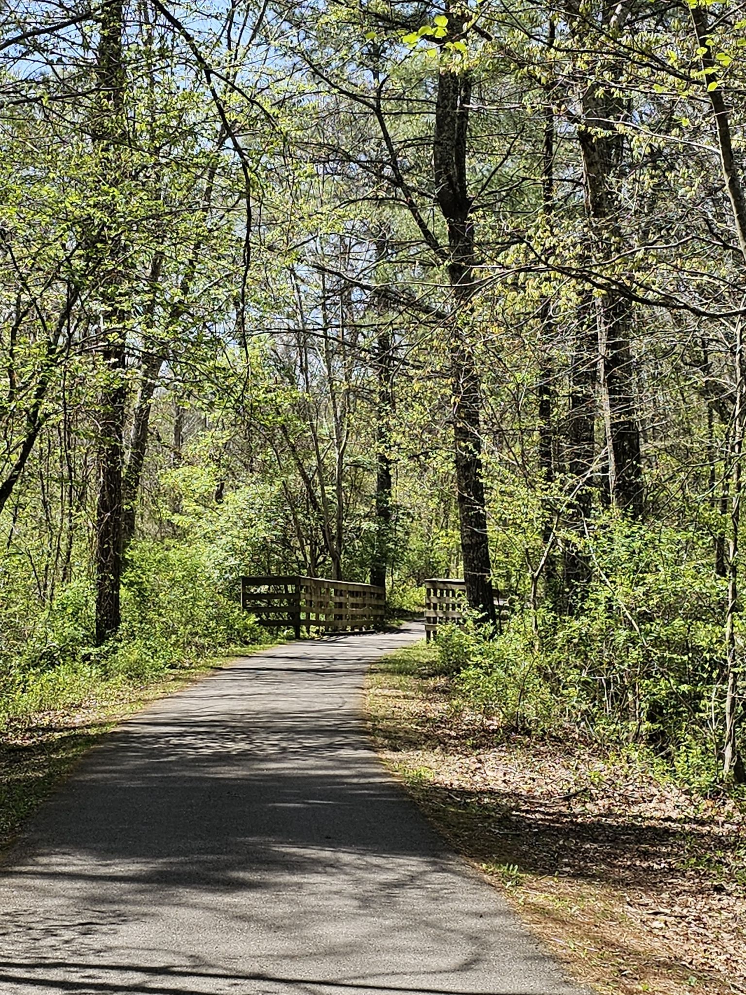 Paved path through a lush green forest, leading to a wooden bridge. - Coal Mining Heritage Park – Think On It Sculpture loop from Virginia Tech Montgomery Executive Airport