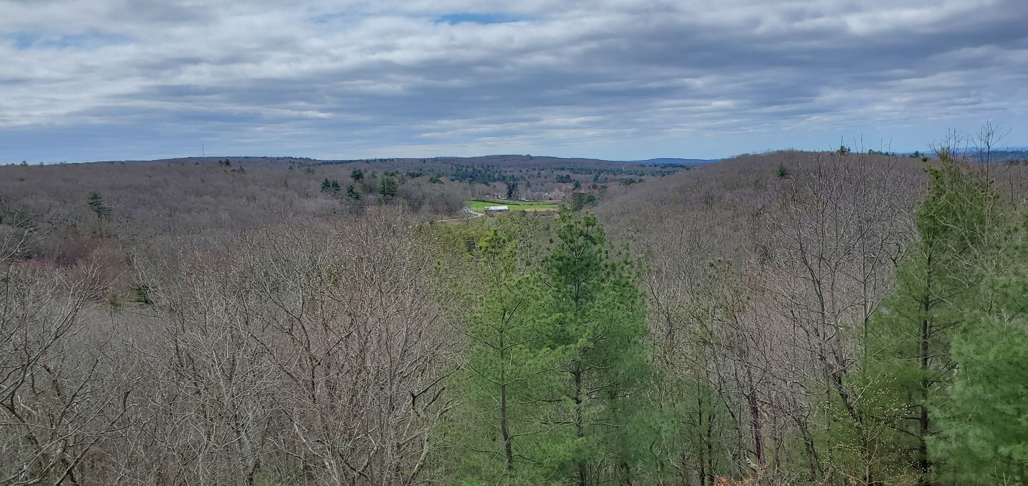 Vast forest with bare trees, evergreens, and a distant golf course under cloudy skies. - Campbell's Peaceful Valley and Stoppleworth Loop