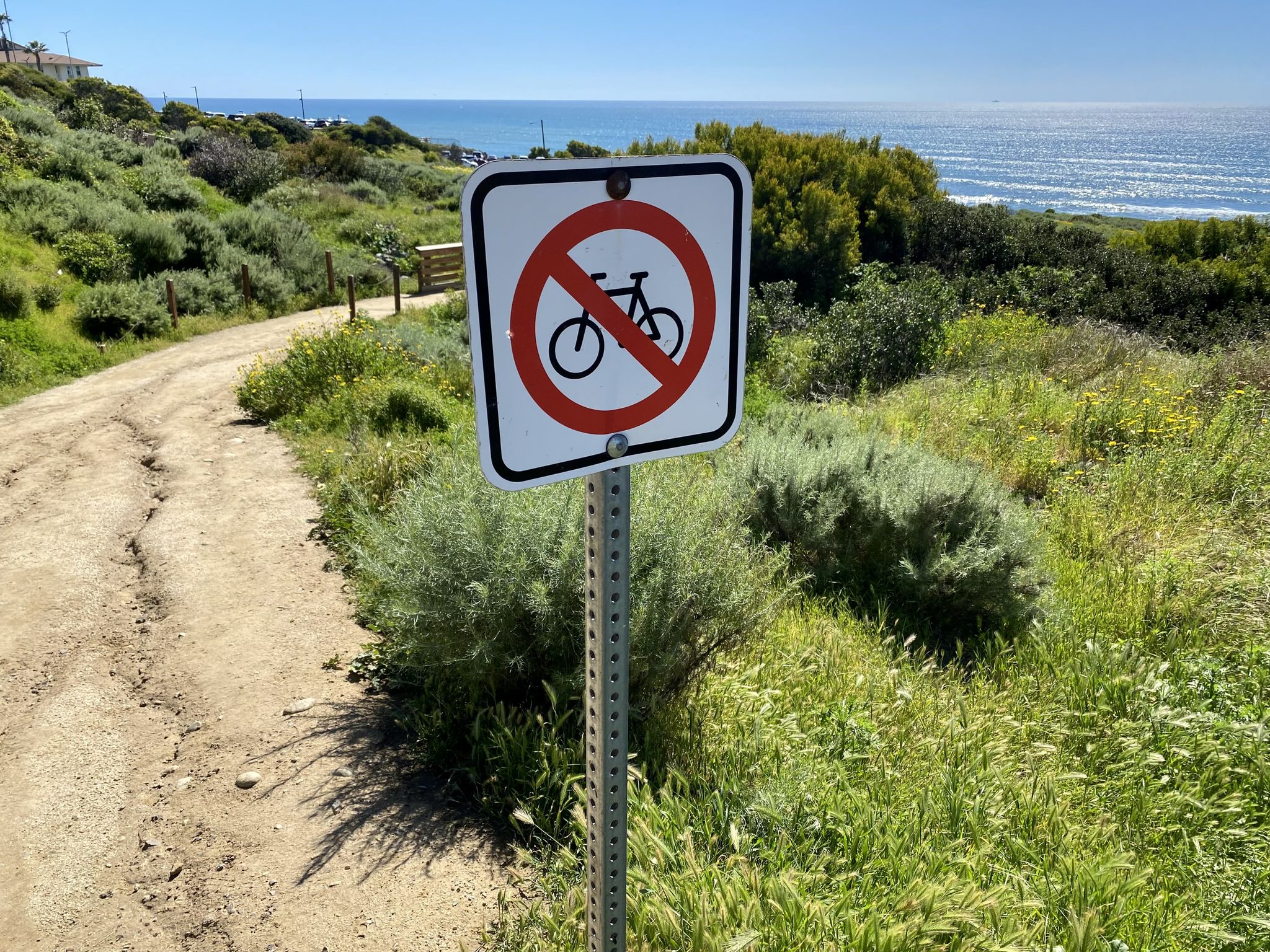 A 'No Bicycles' sign on a dirt path with green bushes and ocean. - Sunset Cliffs Park Trail