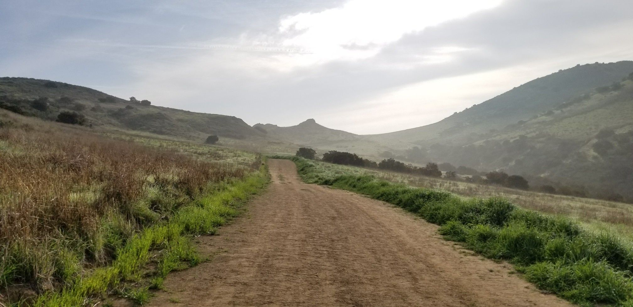 Dirt path winding through grassy hills under a bright, cloudy sky. - Nice Trail – Albertson Motorway loop from Alamo and Bradmoor Avenue