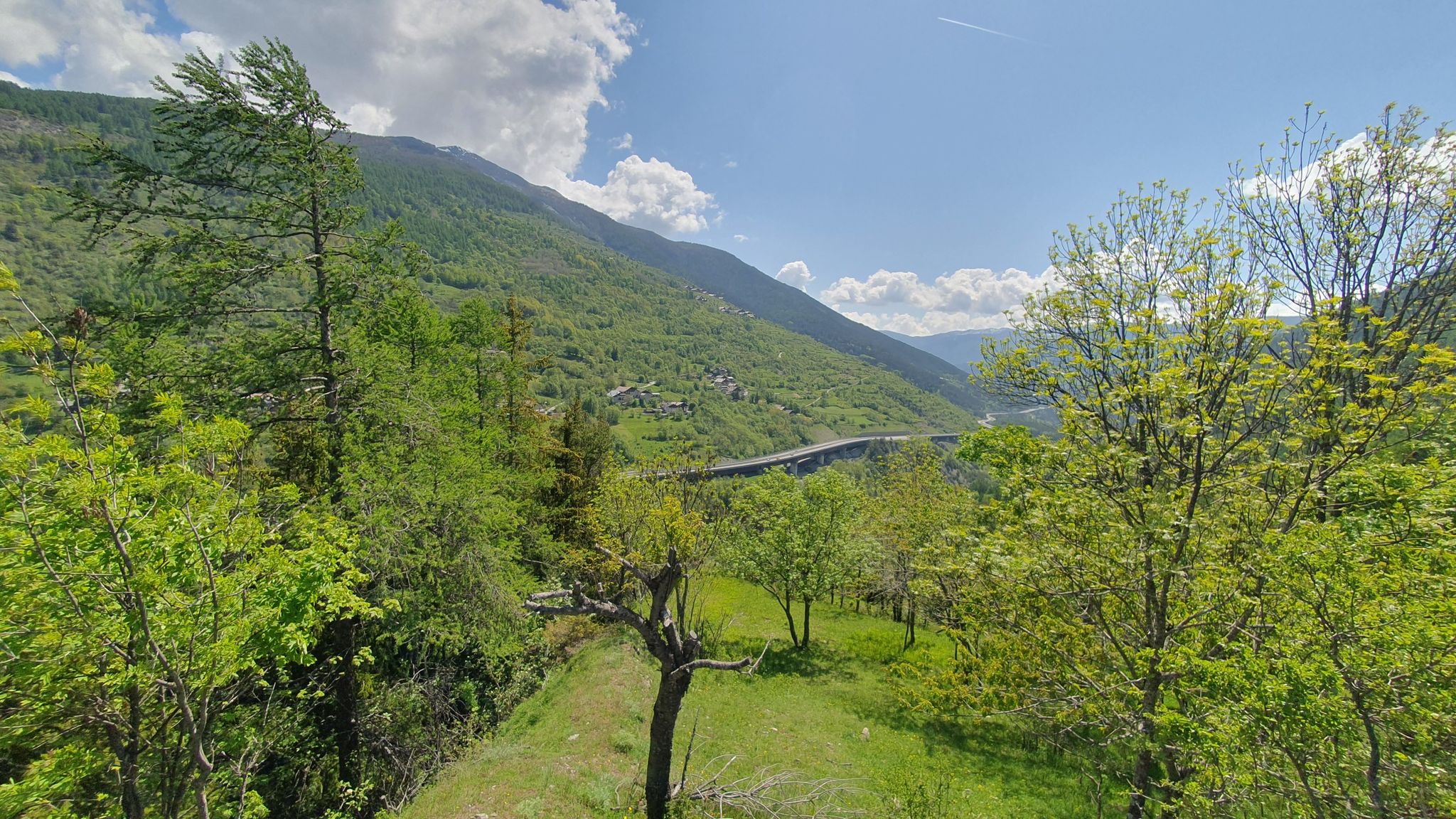 Punto Panoramico Borgata Millaures