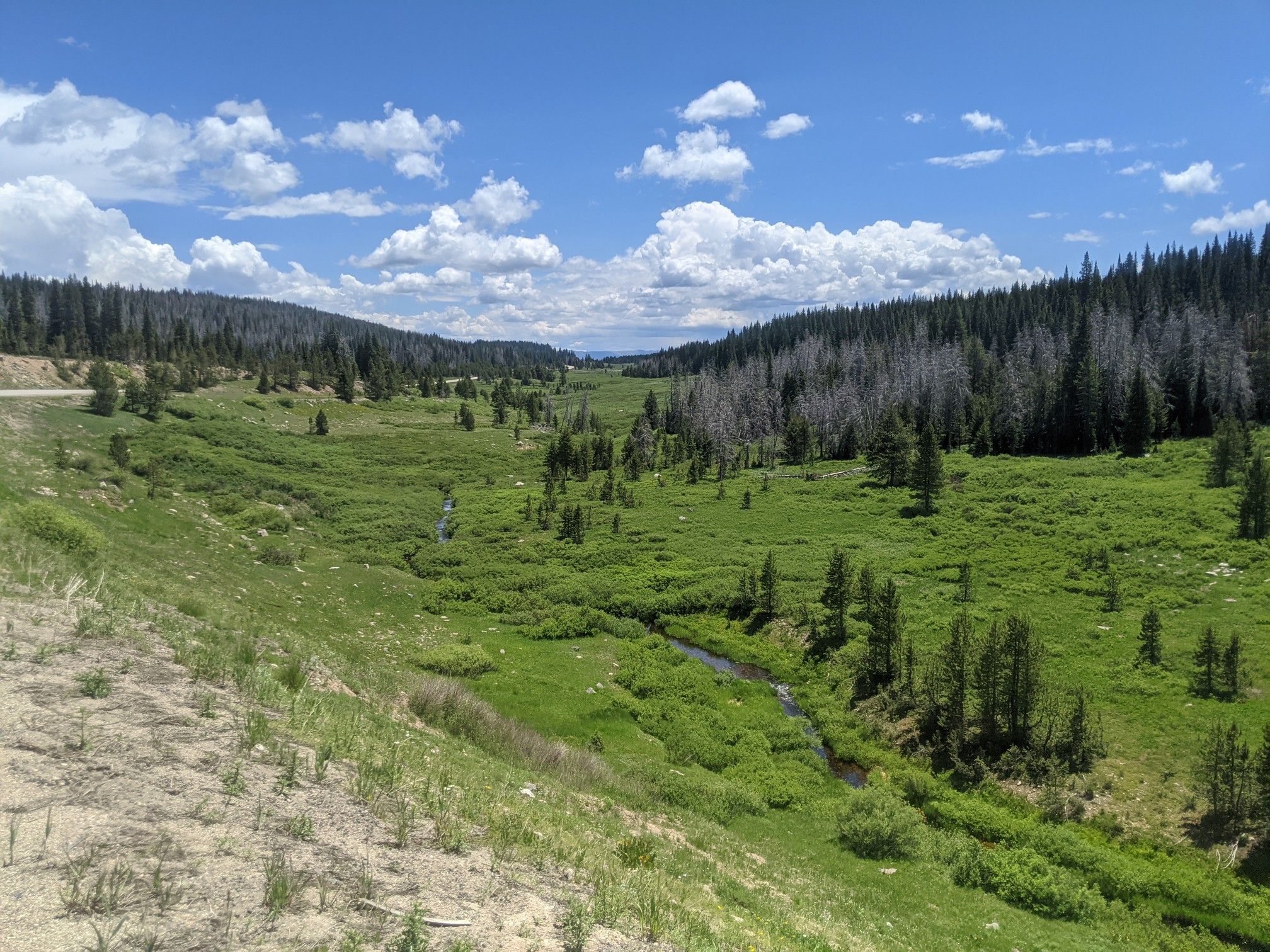 Lush green valley with a winding stream, surrounded by dense forests under a bright, cloudy sky. - North Walton Peak Trail