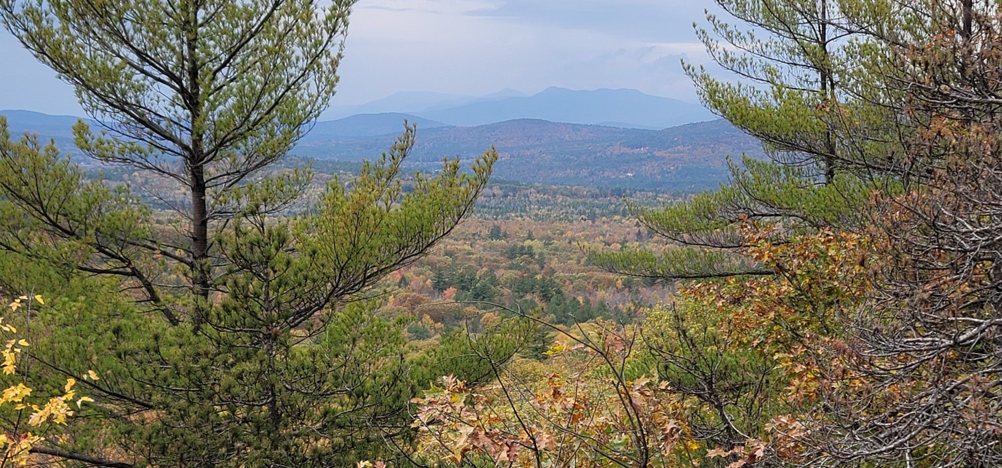Autumn forest valley with distant hazy mountains under an overcast sky. - Burnt Meadow Mountain Trail Loop